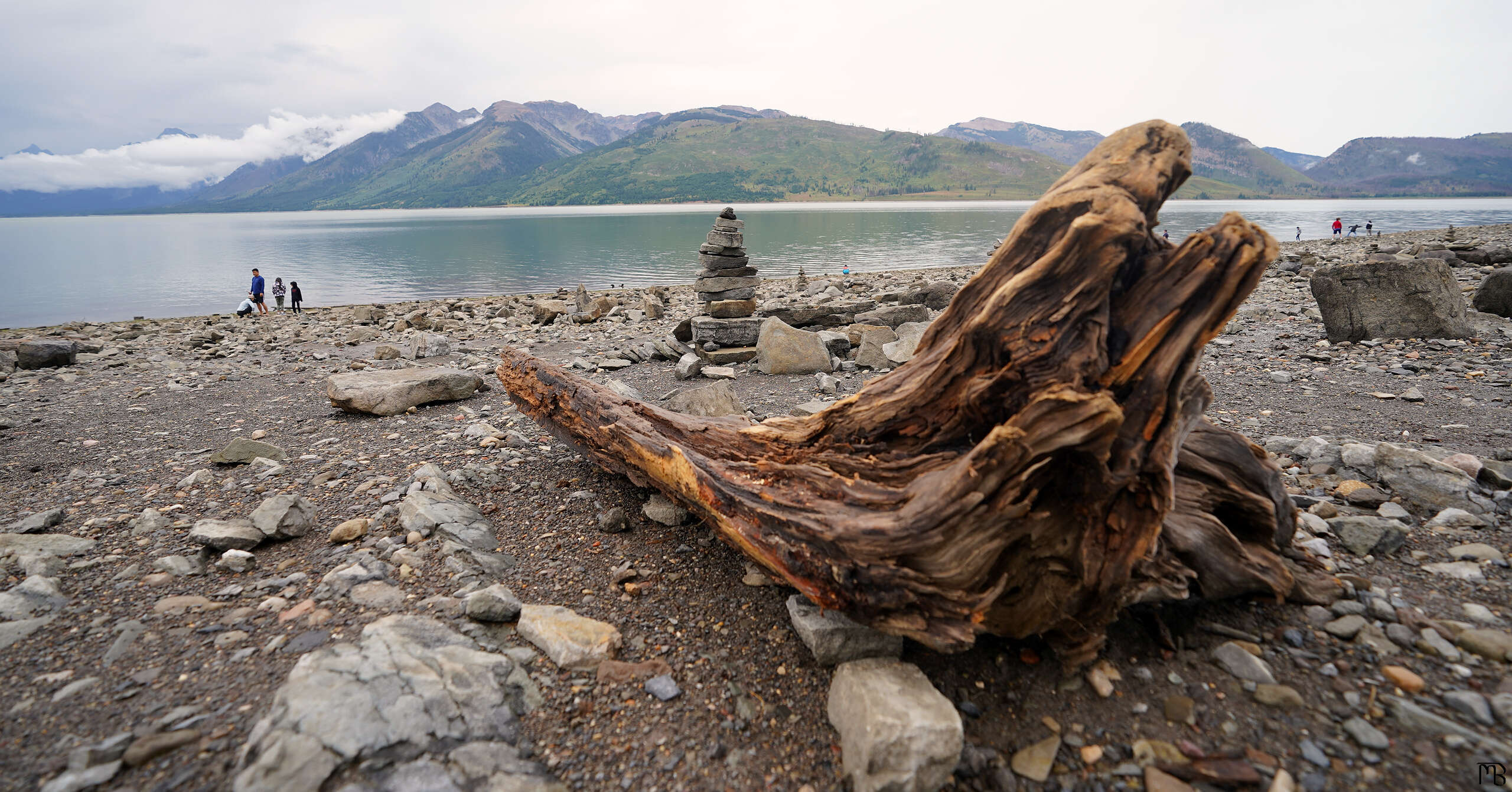 Driftwood and a rock tower in front of mountains