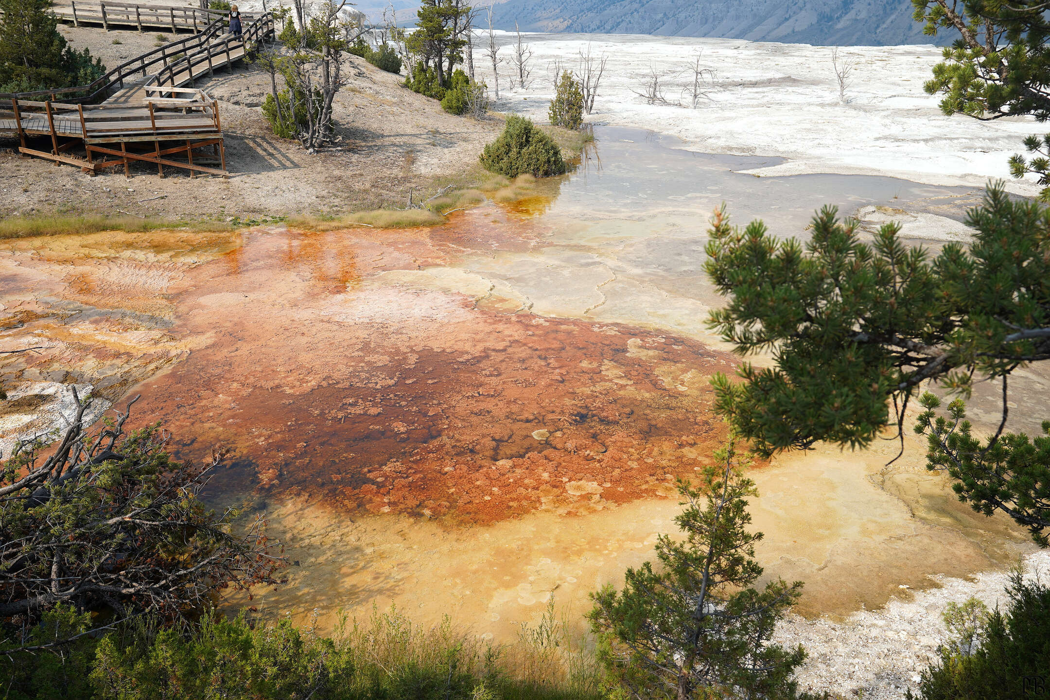 Orange pool