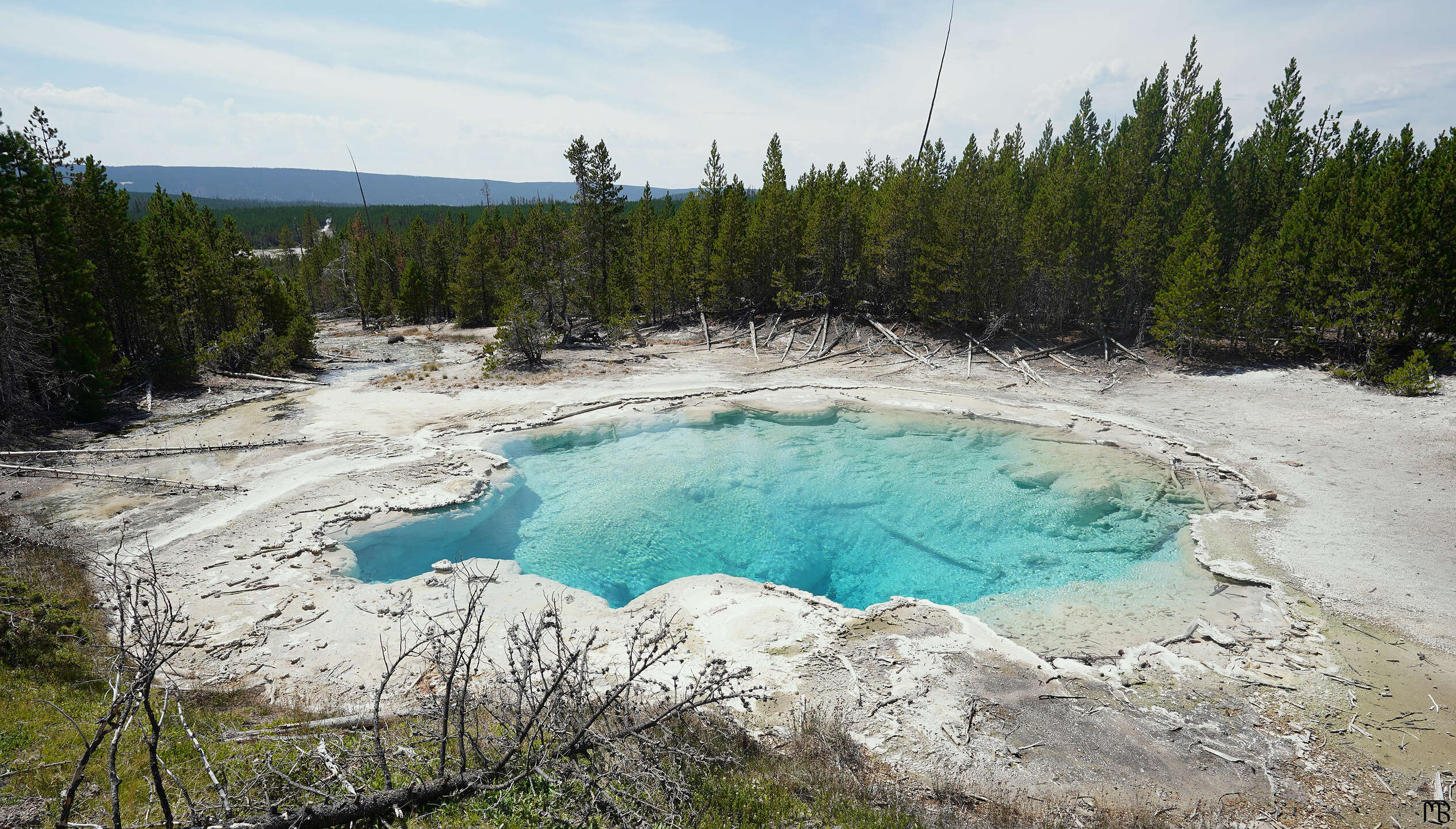A blue spring in the Norris Geyser Basin