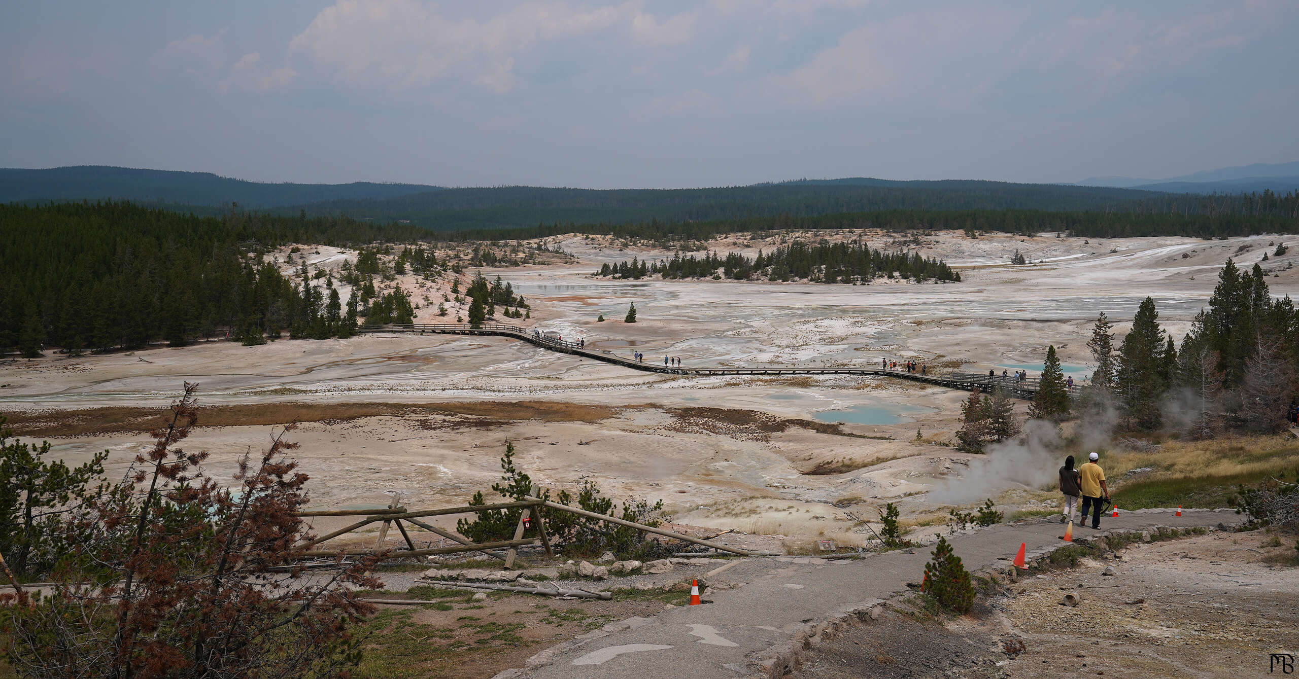 A wide shot of the Norris Geyser Basin