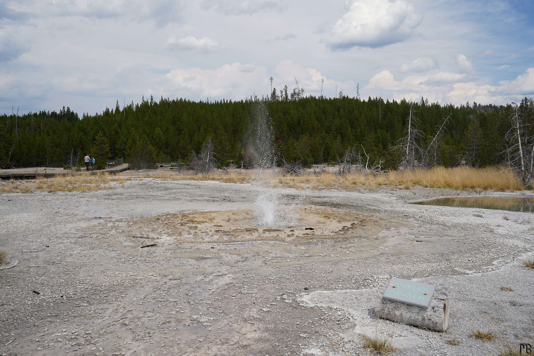 Vixen geyser going off