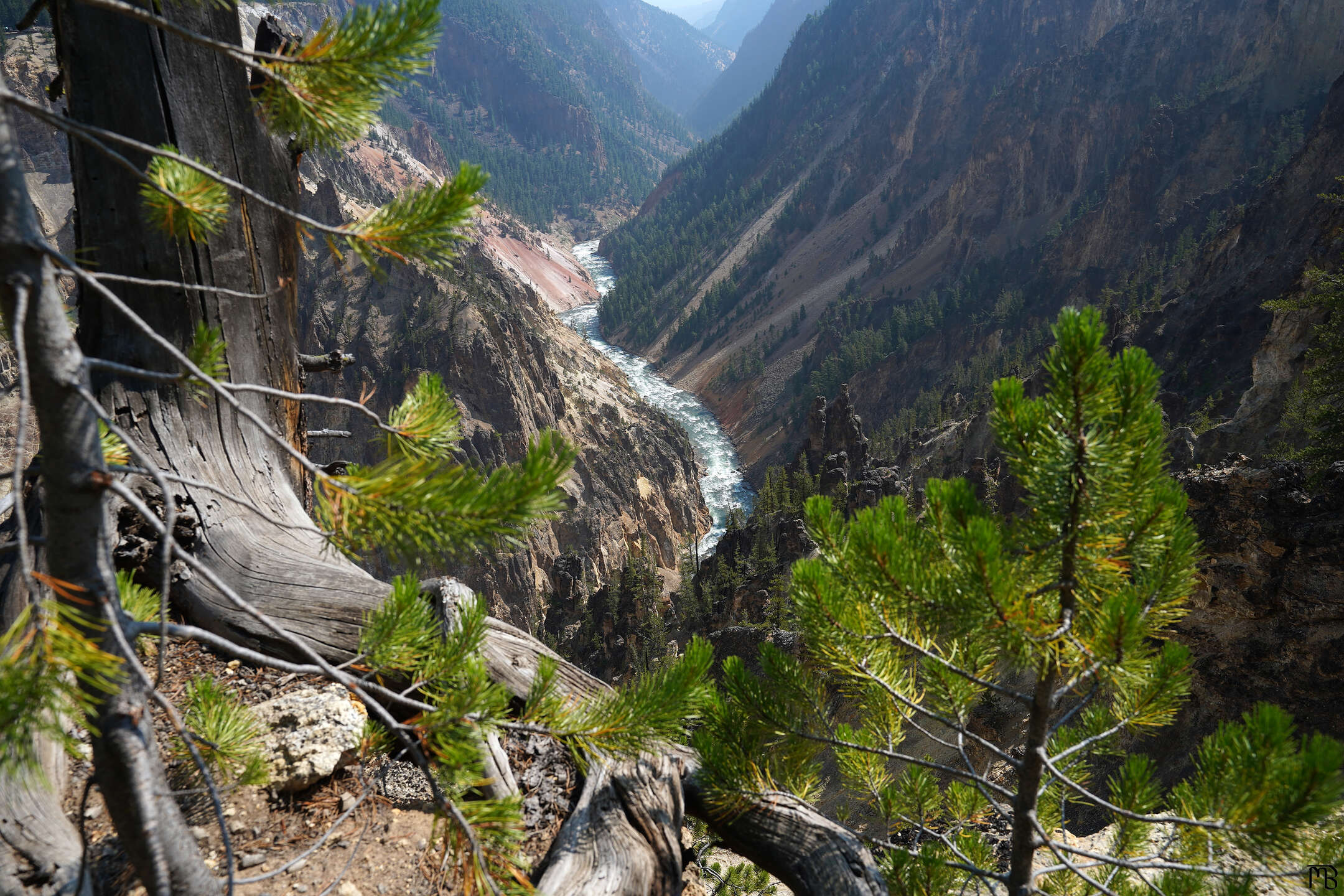 A view of the river in the canyon