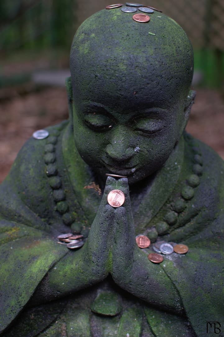 Buddha with coins