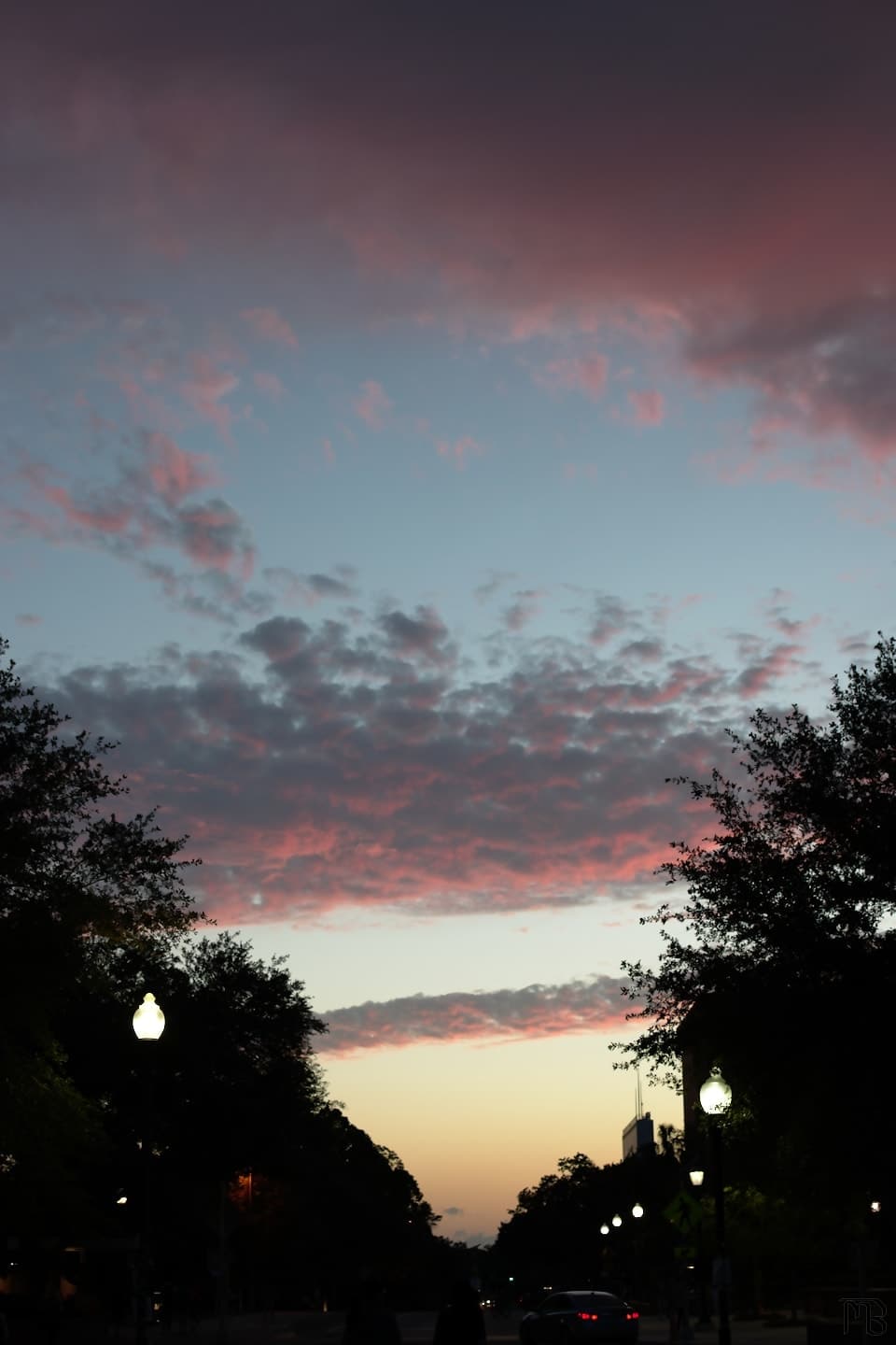 Pink clouds during sunset