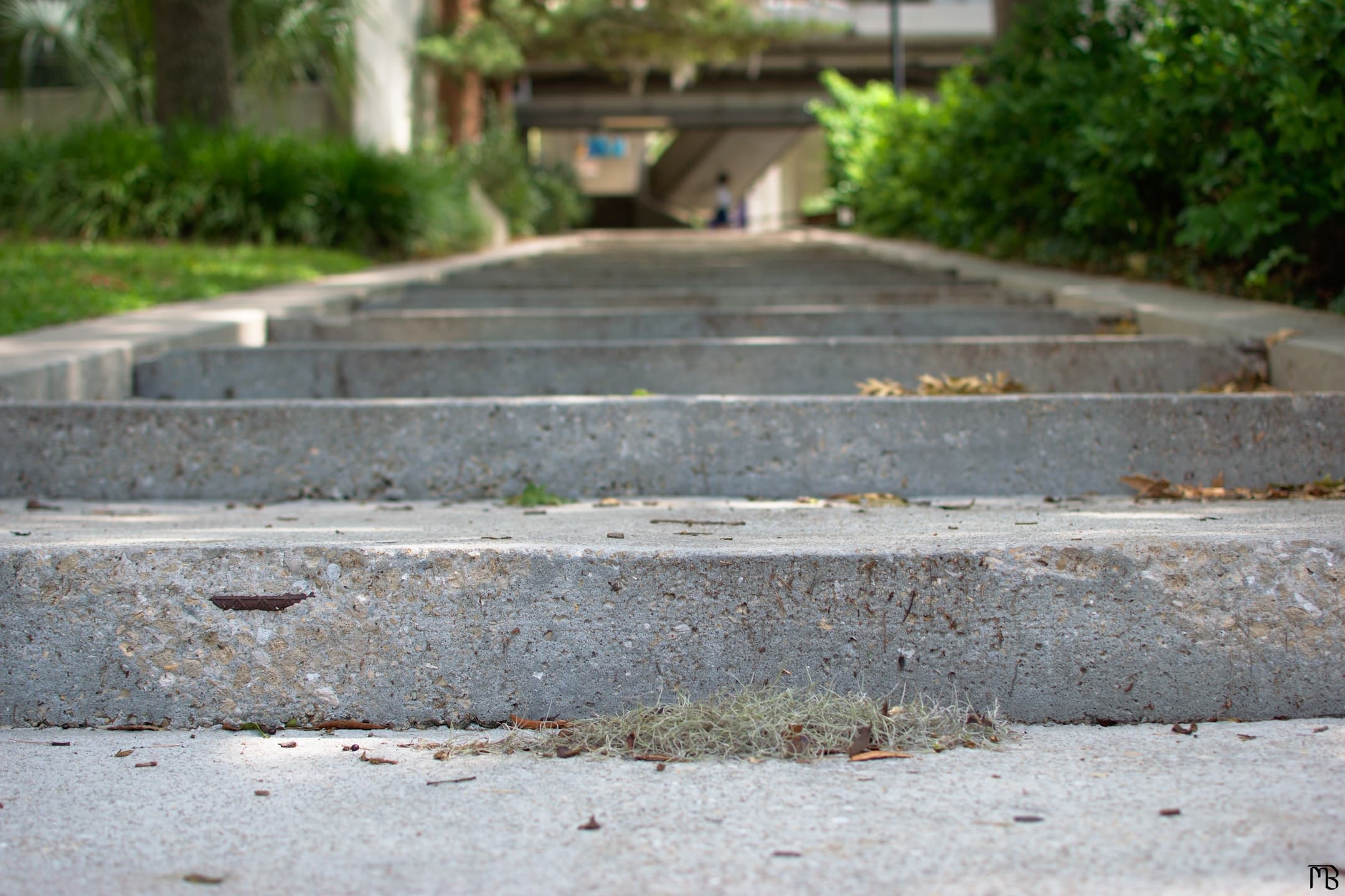 Stairs in the sun