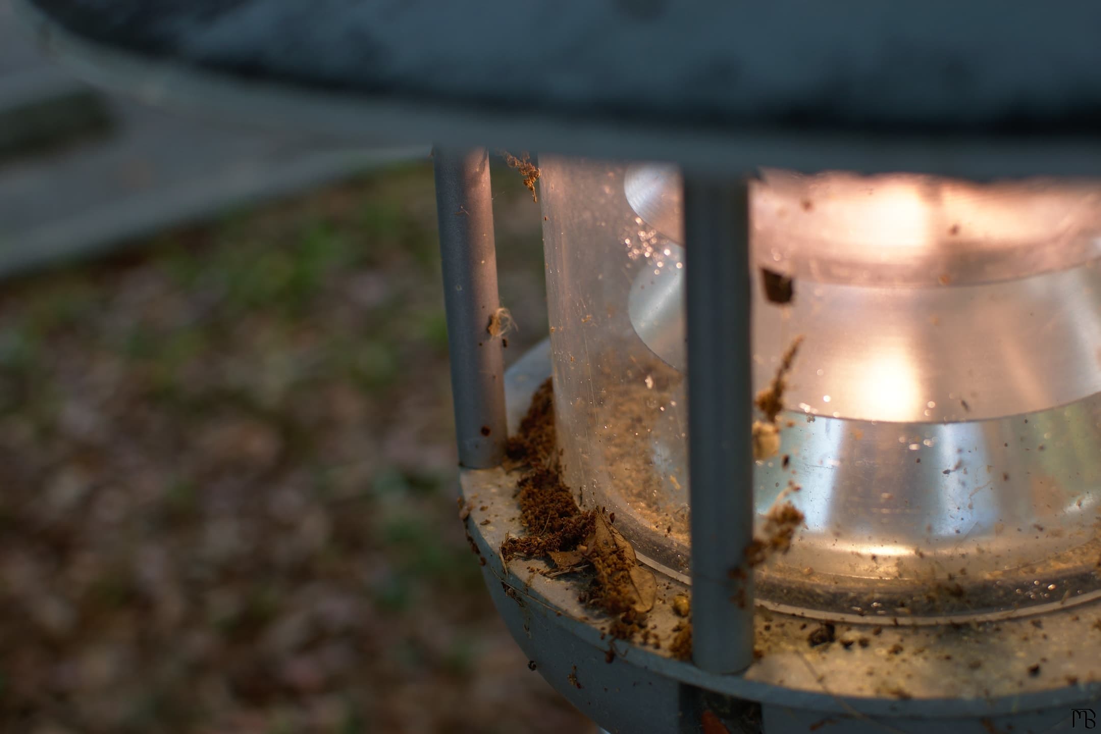 Grime on a lamp