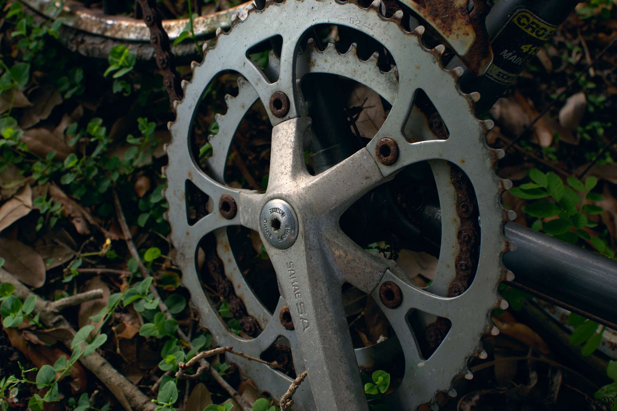 Bike gears