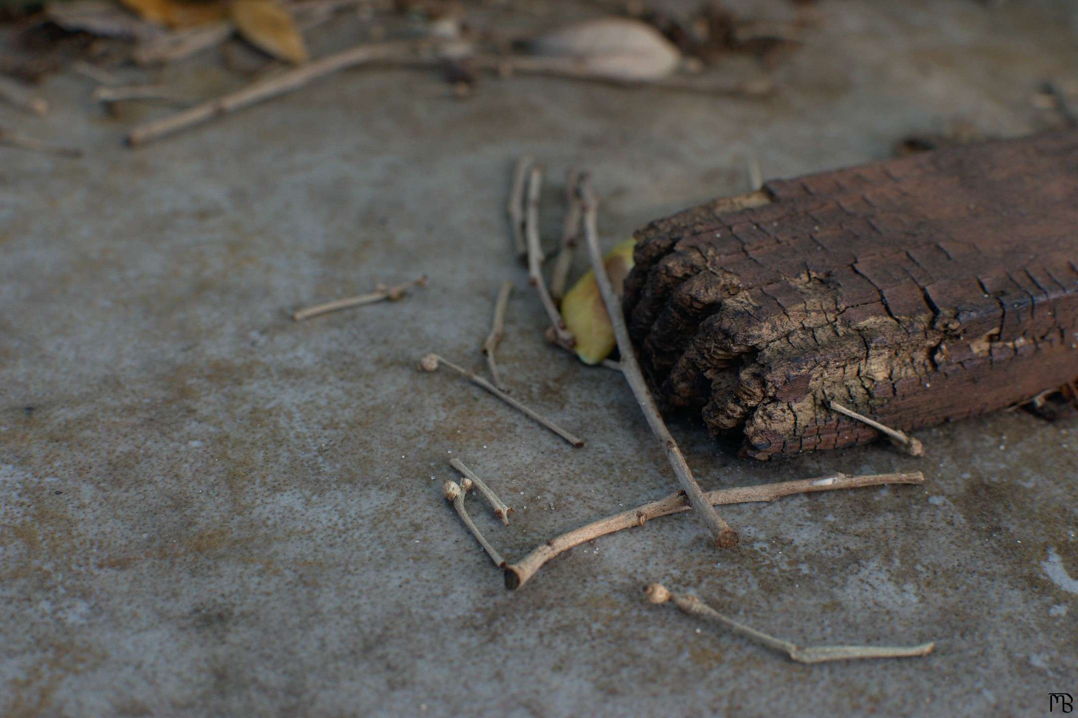 Wood on picknick table