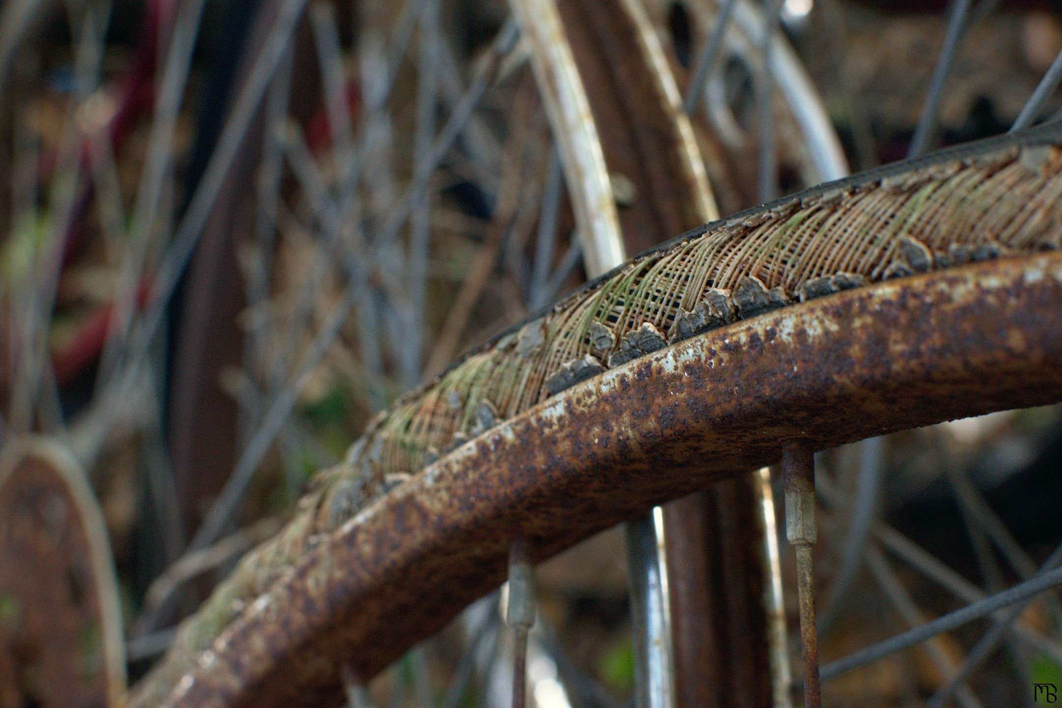 Old bike tire