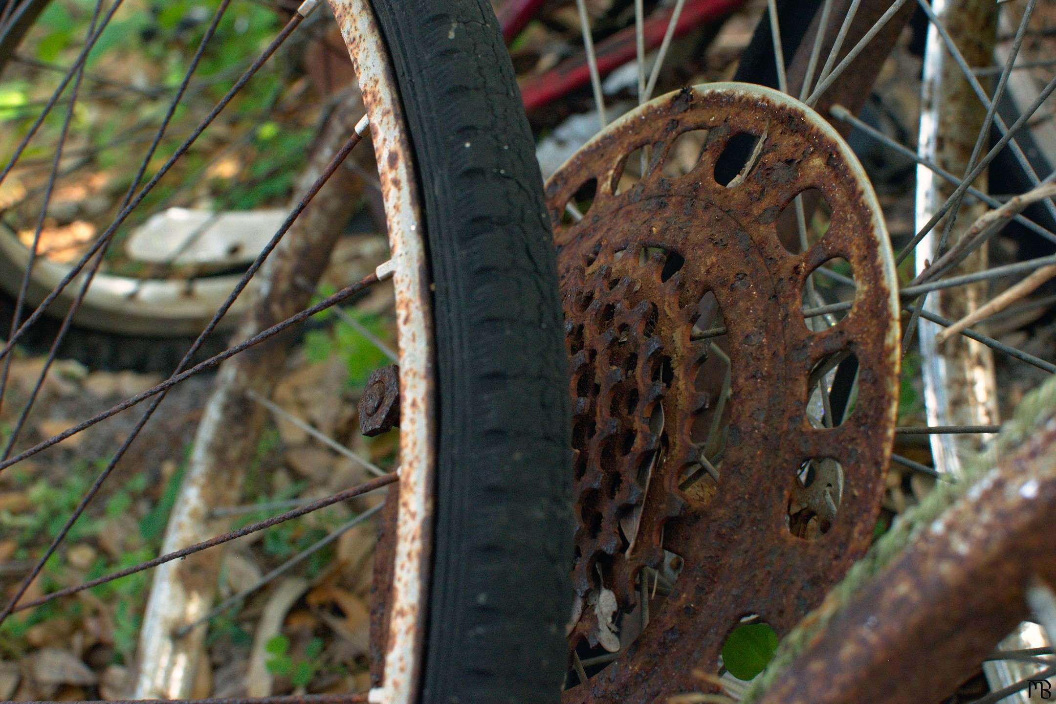 Rusted bike gear