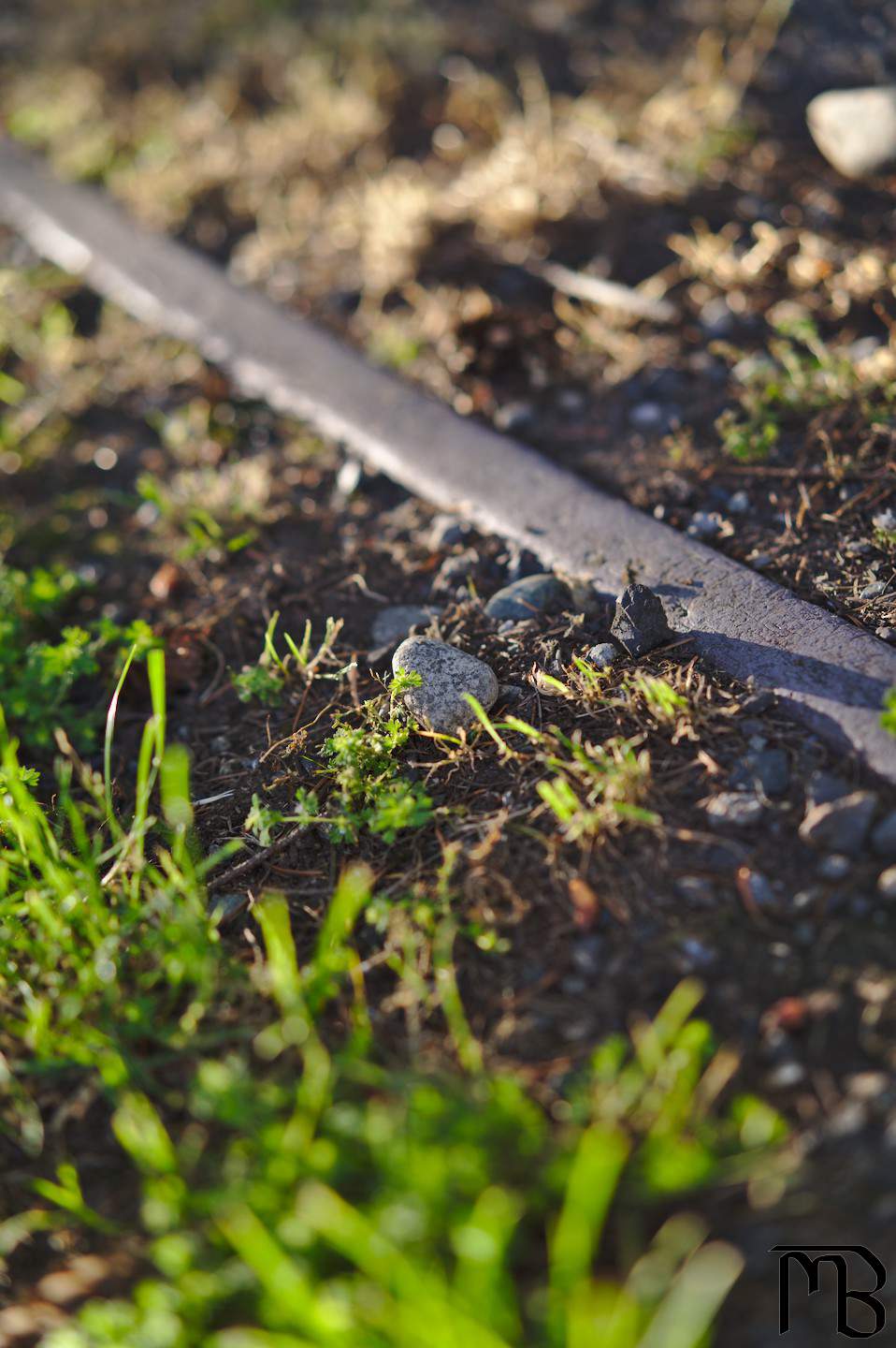 Rock near grass and side walk