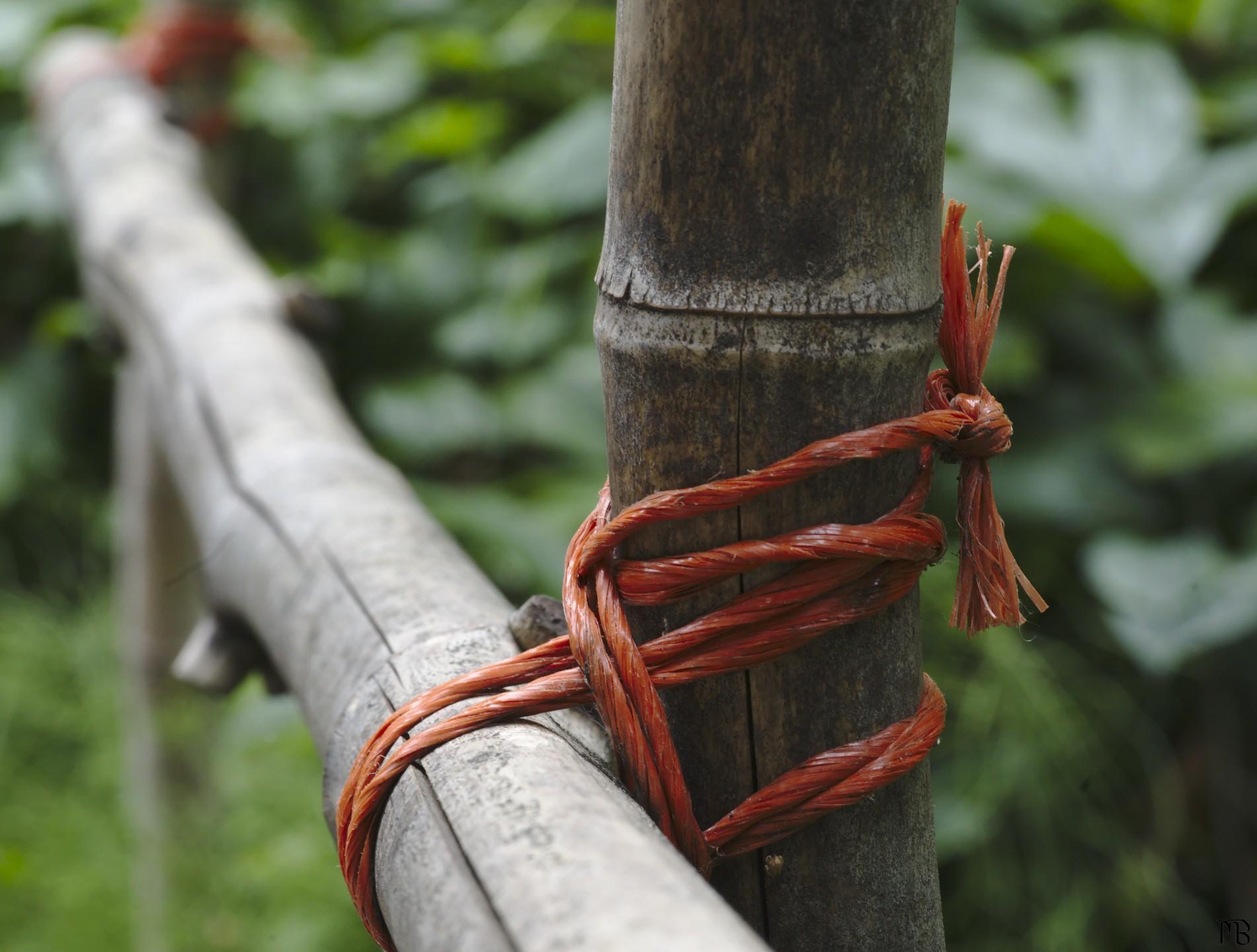 Orange rope around pole