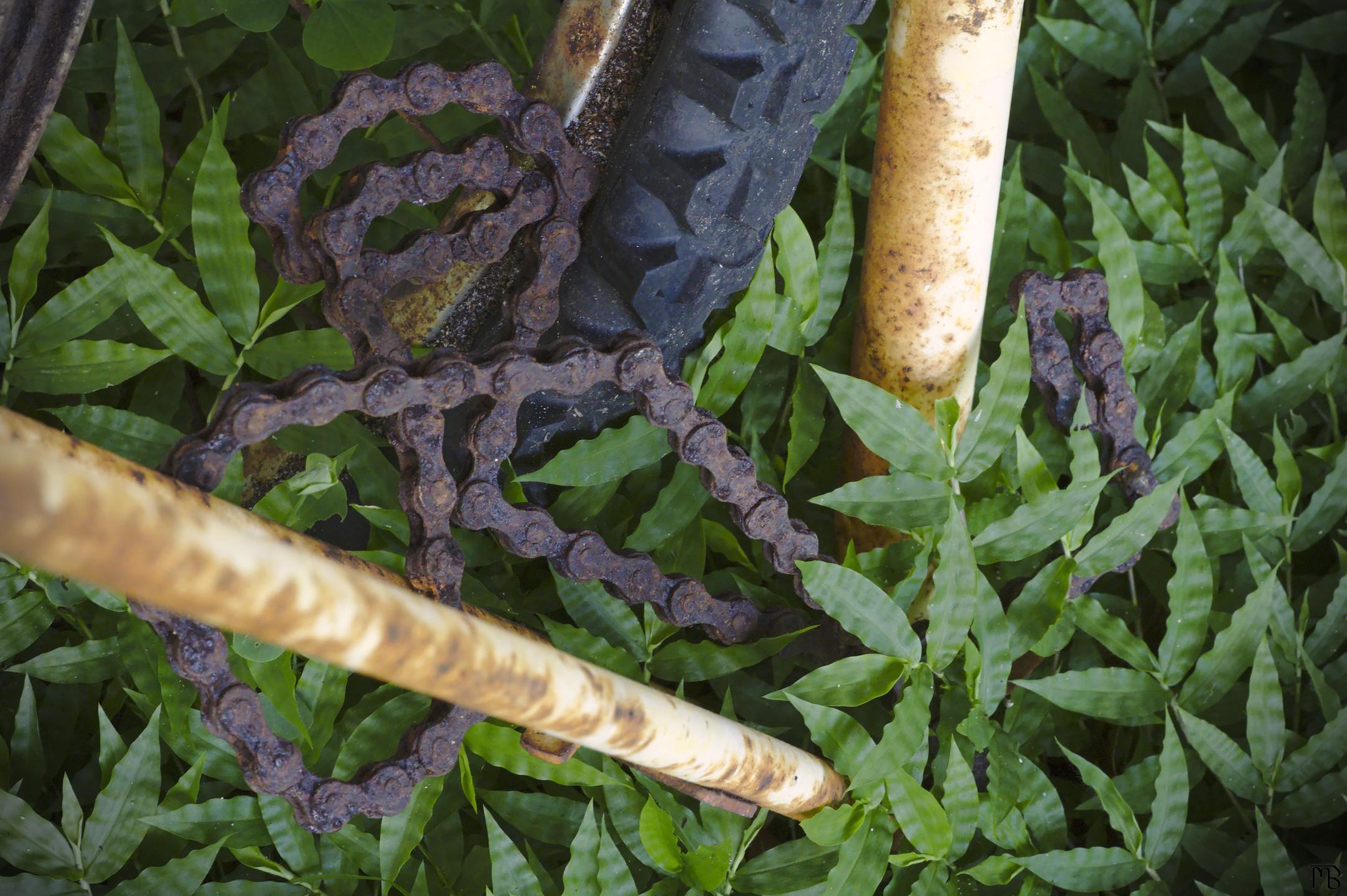 Bike frame and chain in weeds