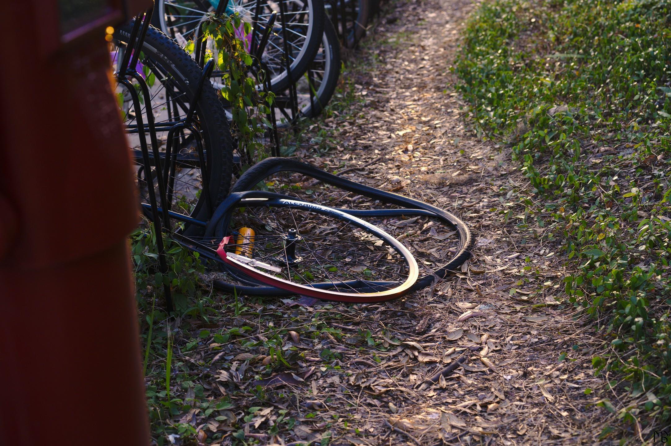 Bike on ground in grass