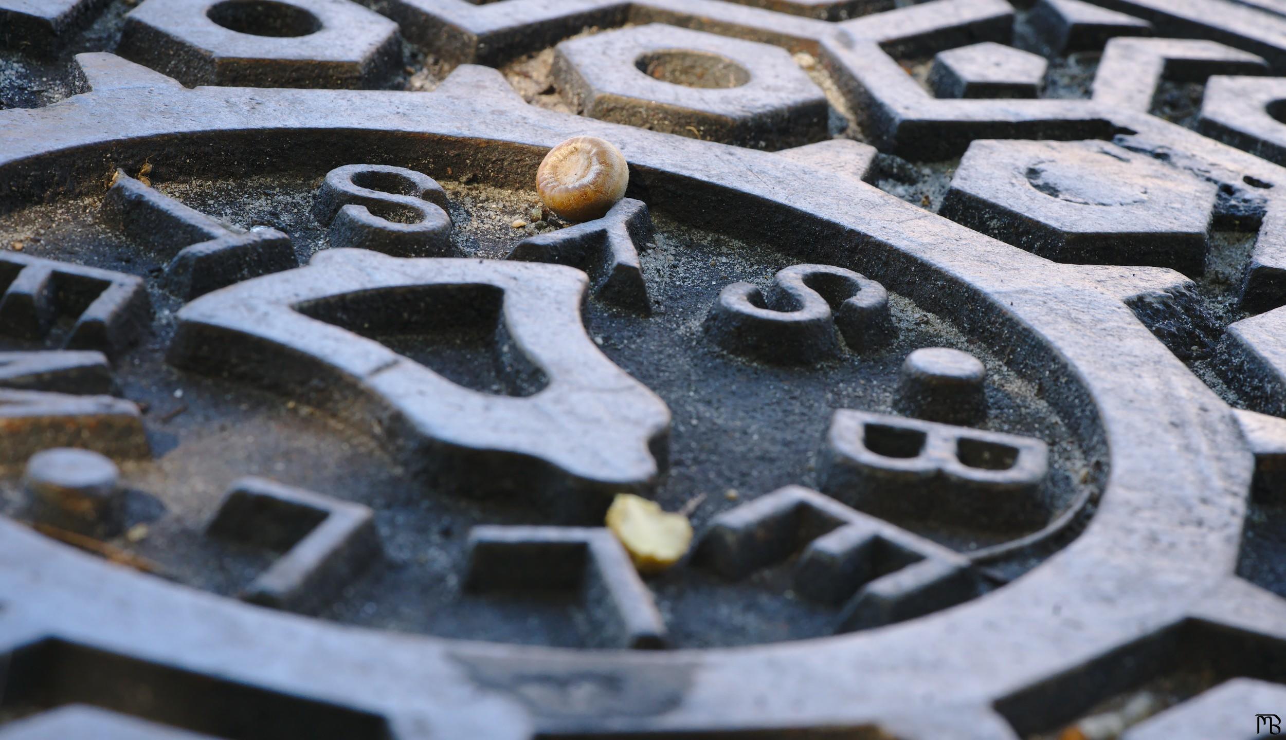 Acron on man hole cover