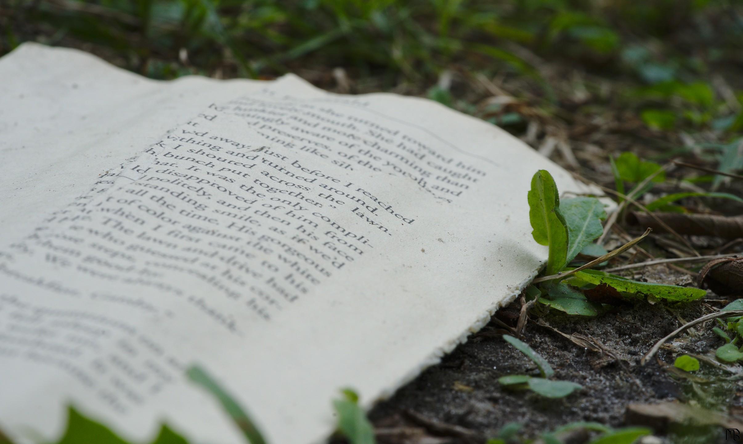 Book on ground in grass