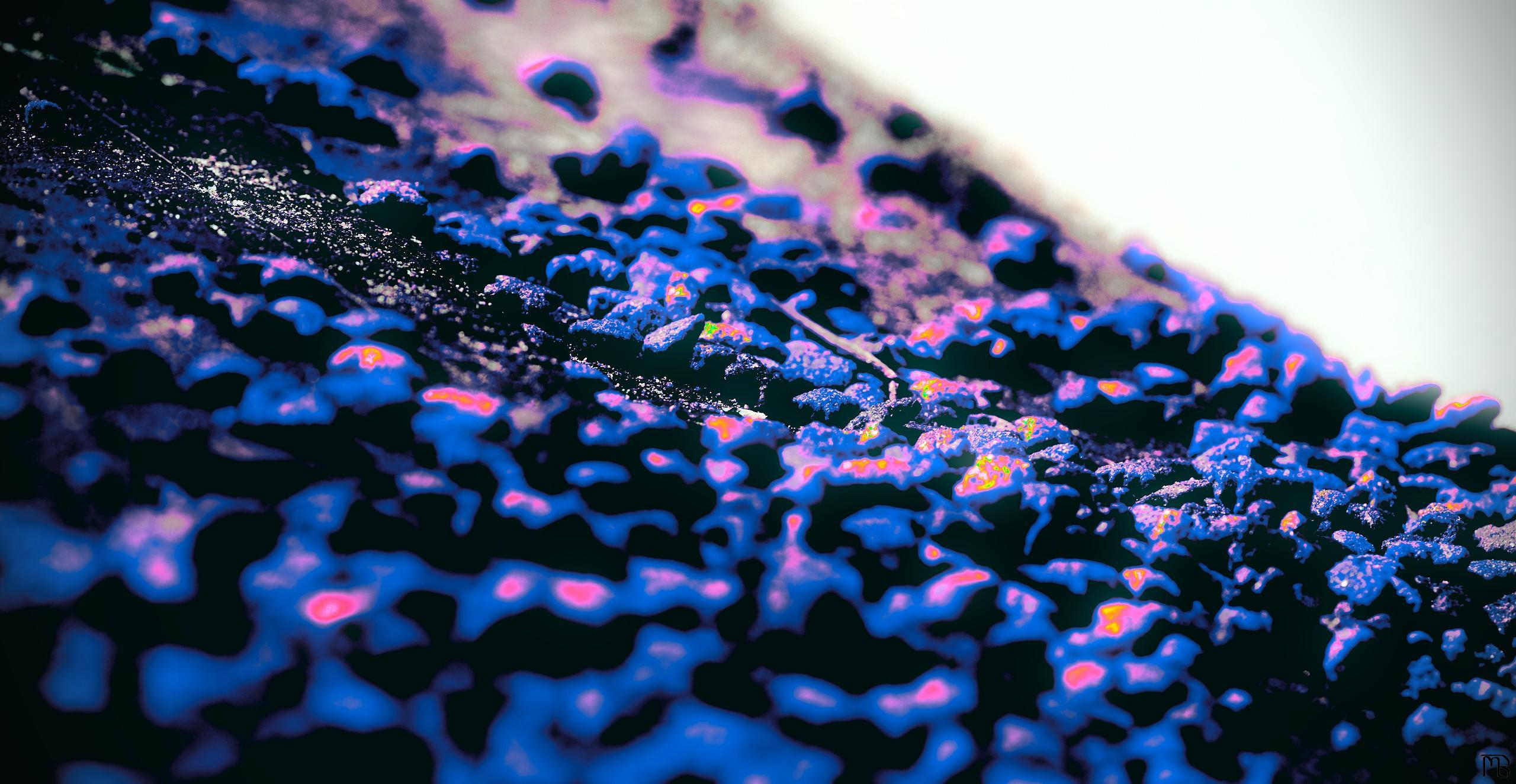 Arty purple and blue dog food