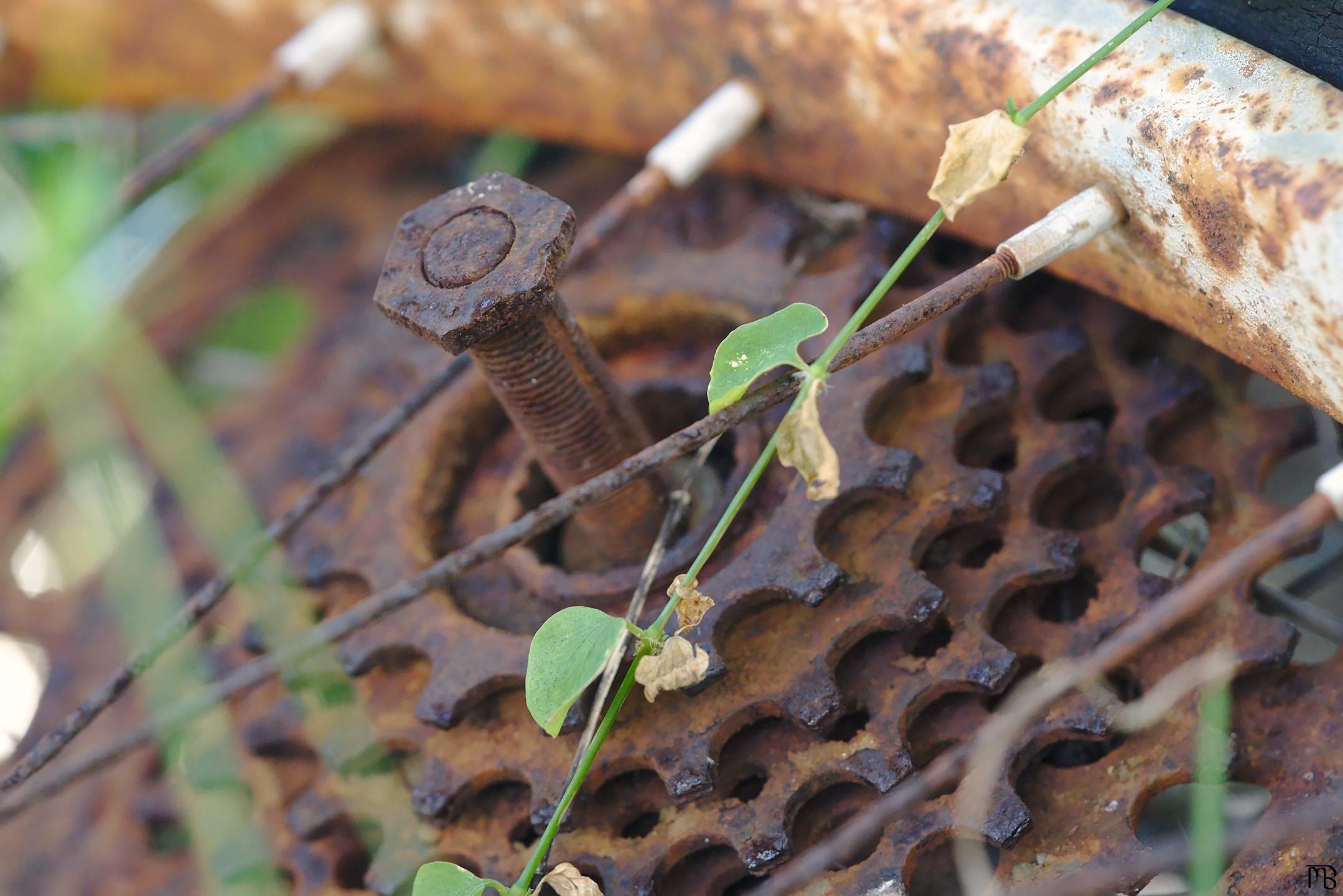 Rusty bolt sticking out above bike