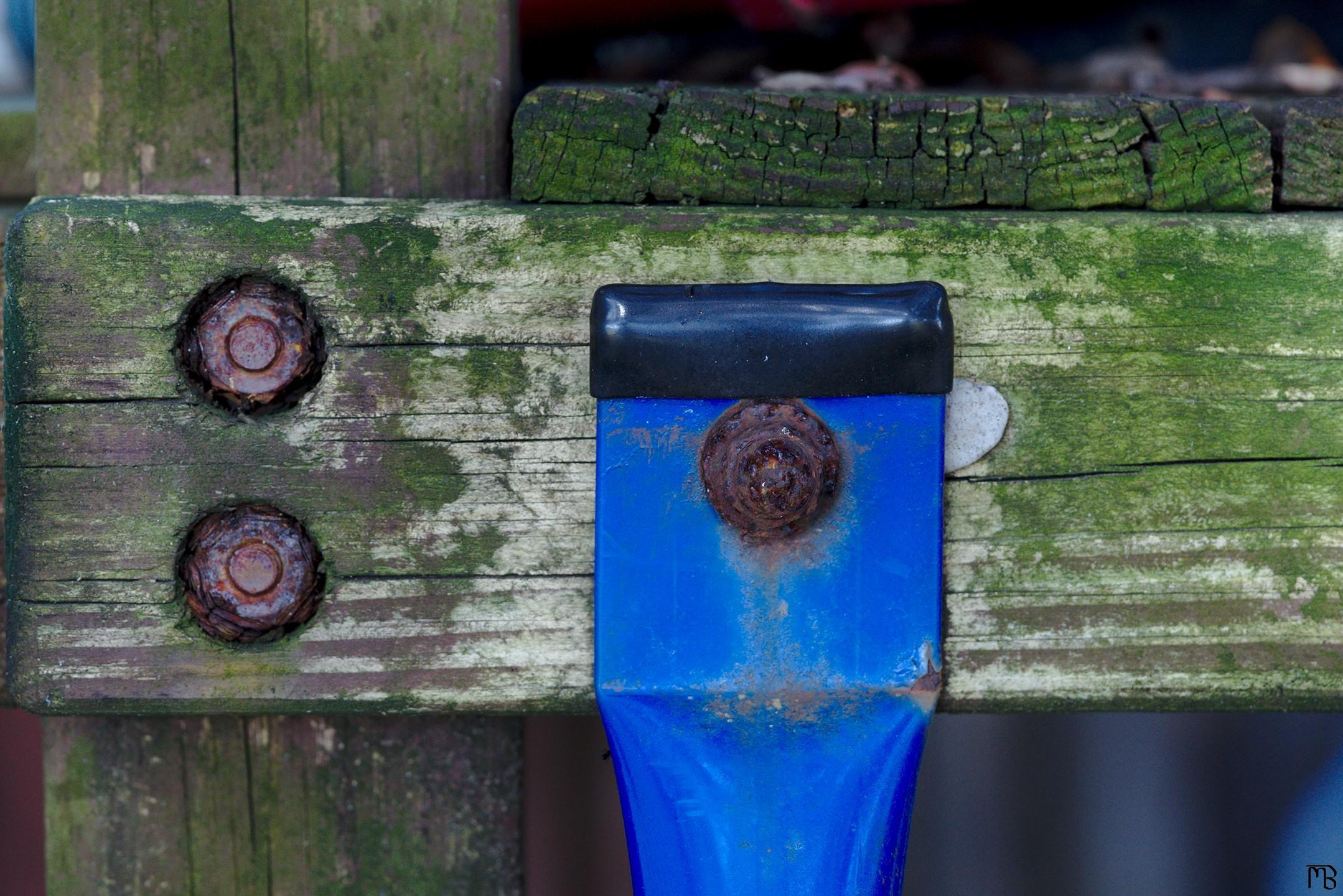 Blue laddar attached to green wood