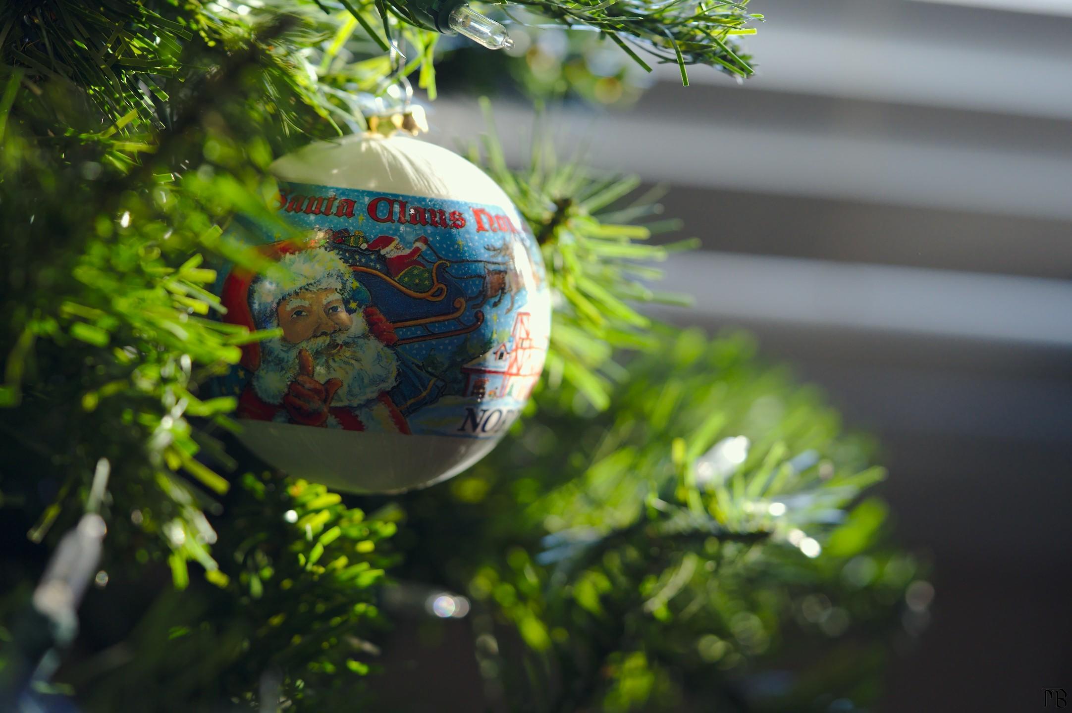 Christmas ornament on tree