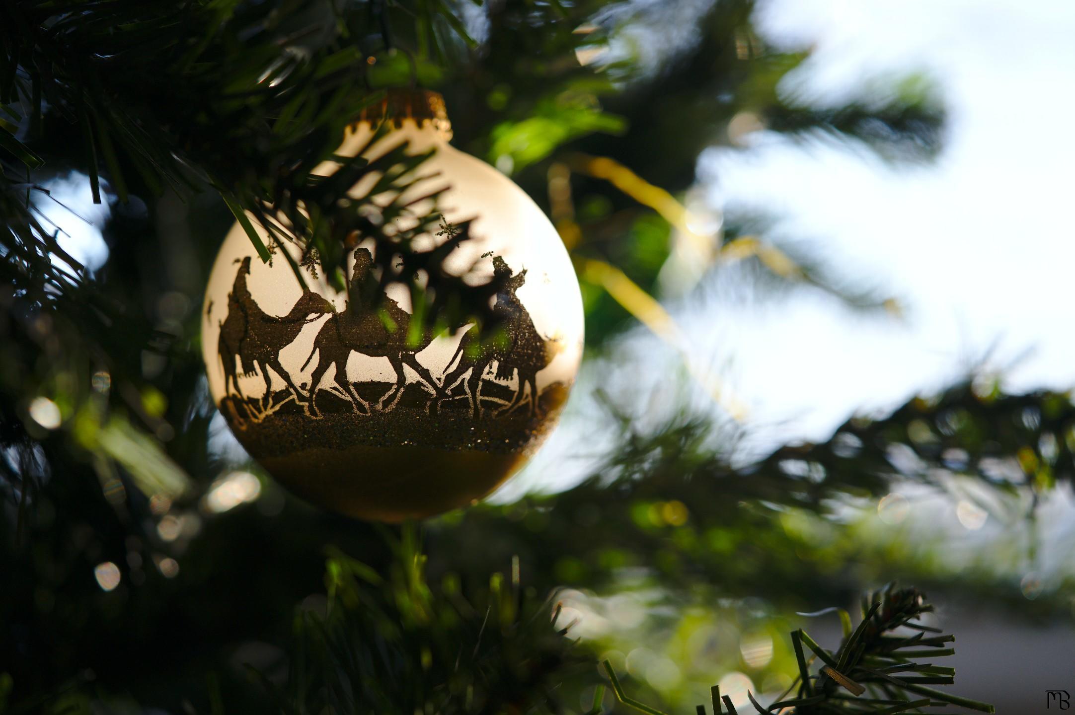 Ornament in Christmas tree