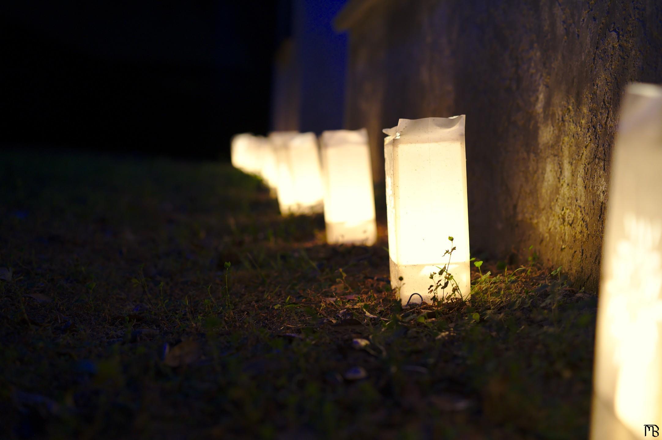 Lights along side of house