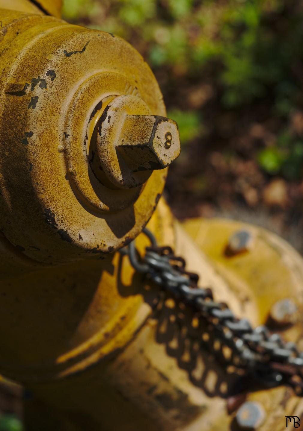 Yellow rusty fire-hydrant