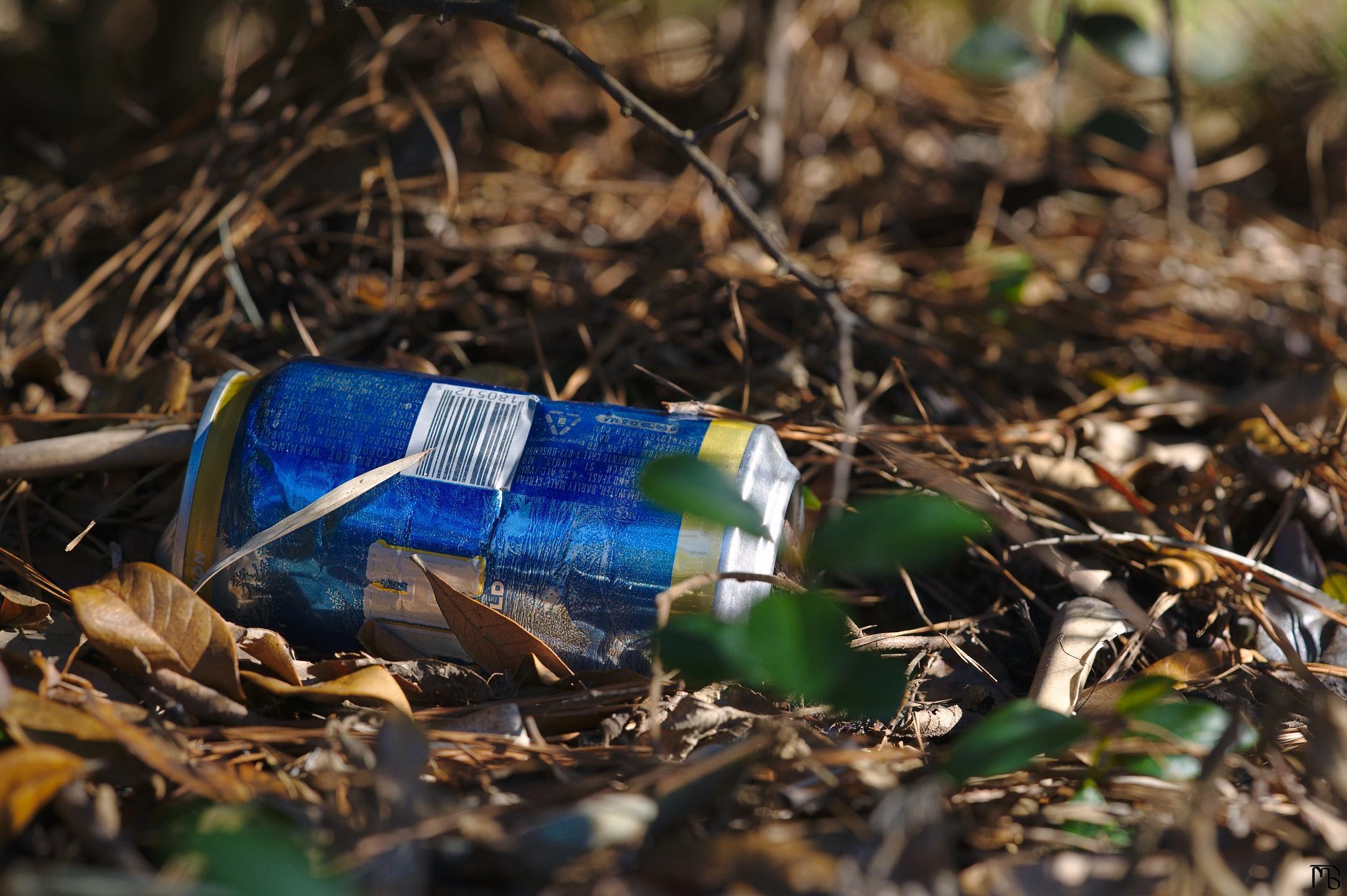 Blue can under bush