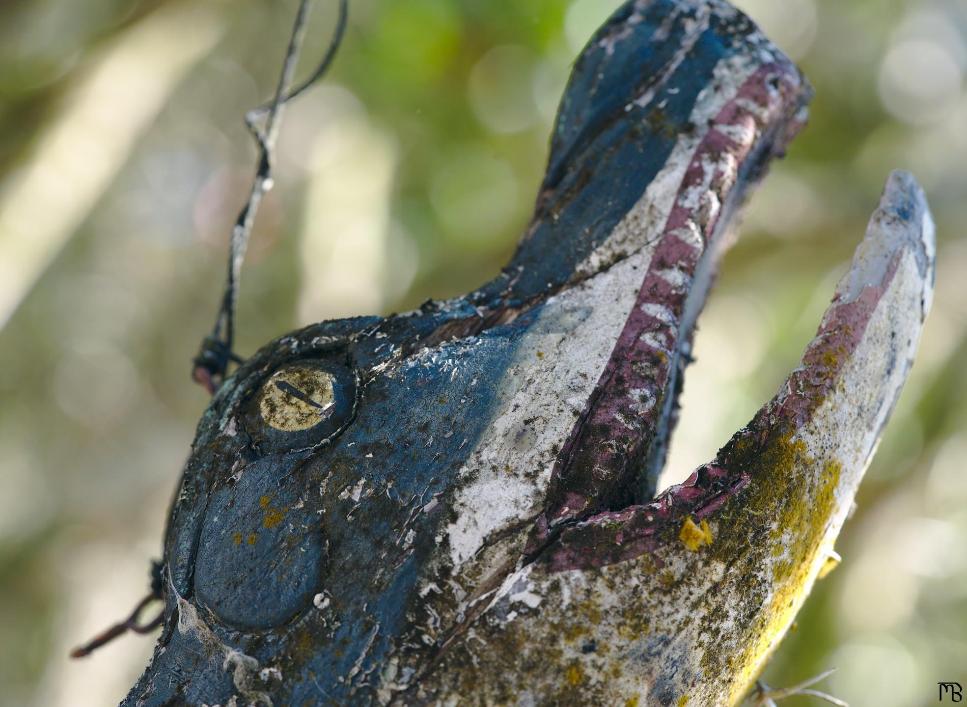 Hanging wooden aligator