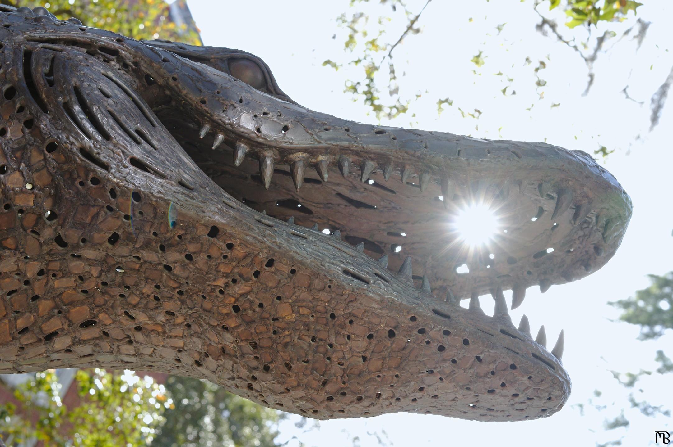 Light through a gator statue