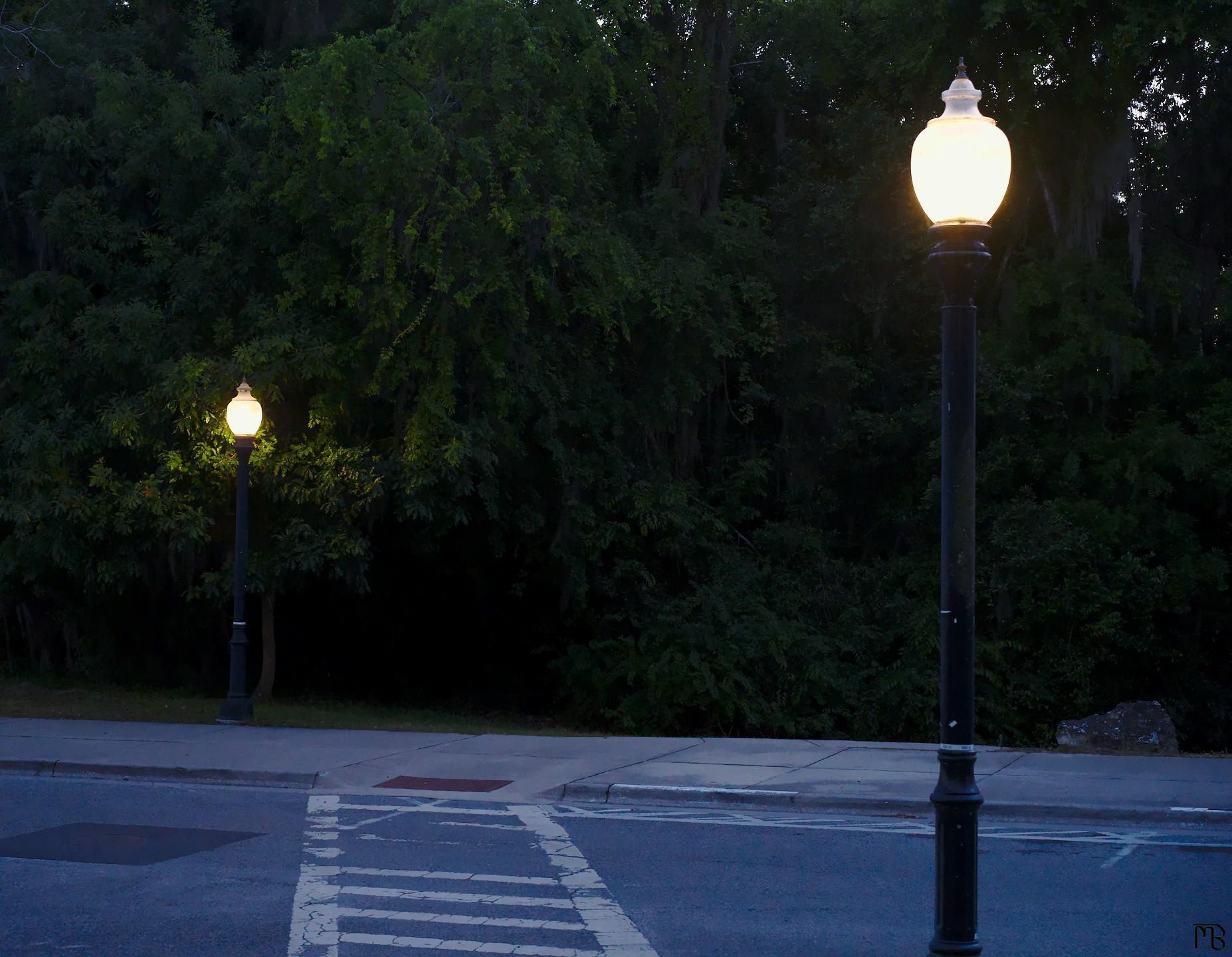 Two light stands on a crosswalk