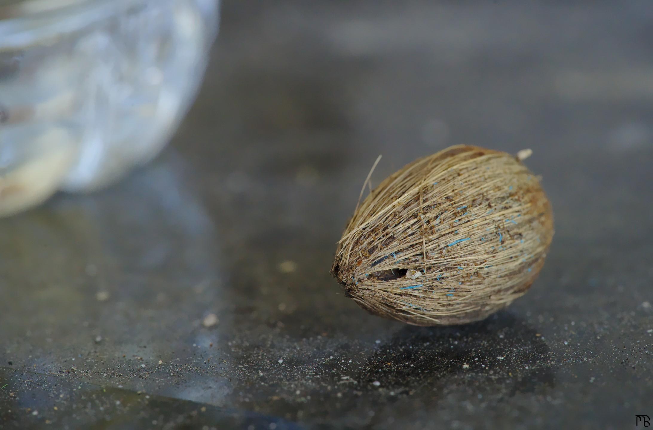 Nut on glass table