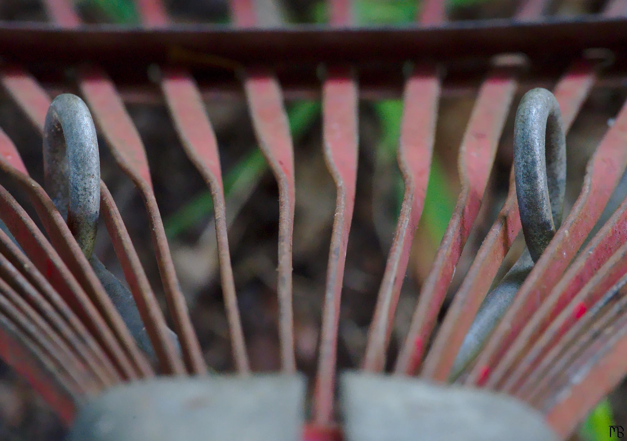 Red rake close-up