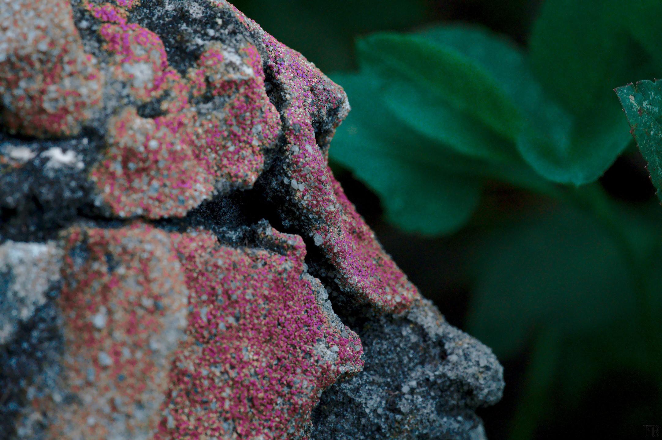 Arty purple rock and leaves