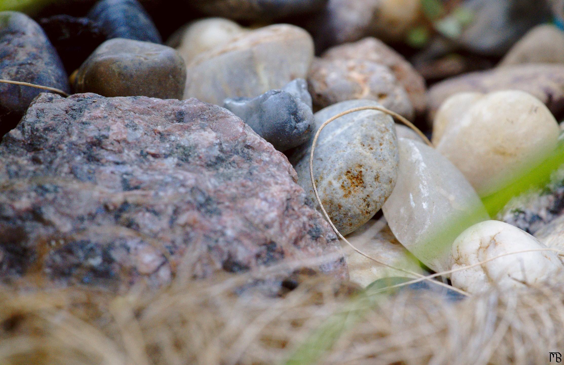 Stones in plant pot