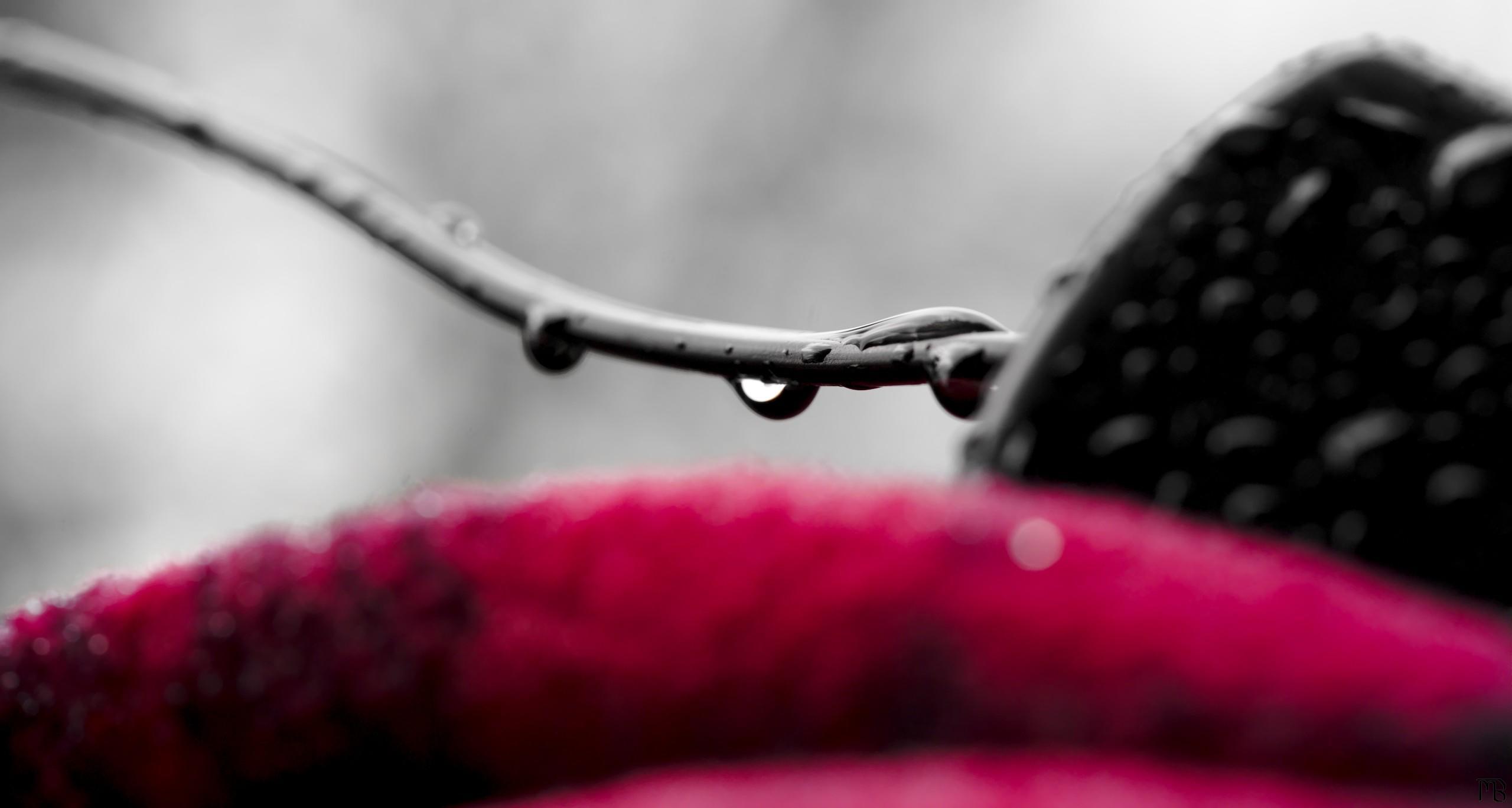 Arty red black and white rain drop on wire