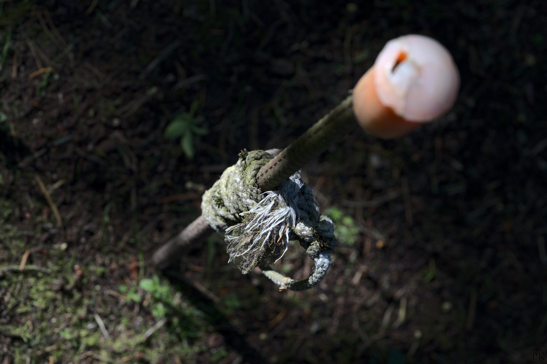 Metal rod with rope sticking out of ground