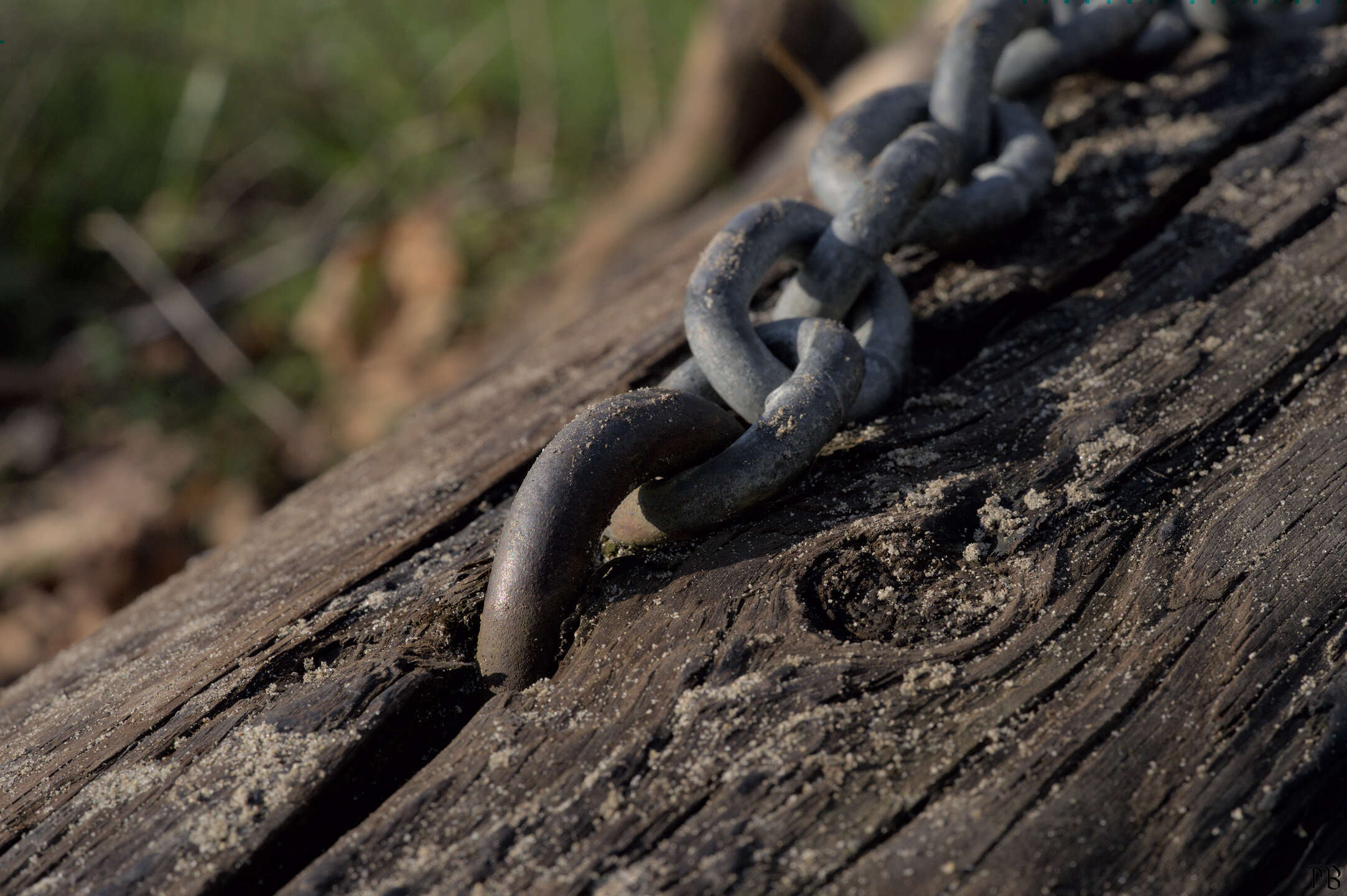 Metal chain on log covered in sand