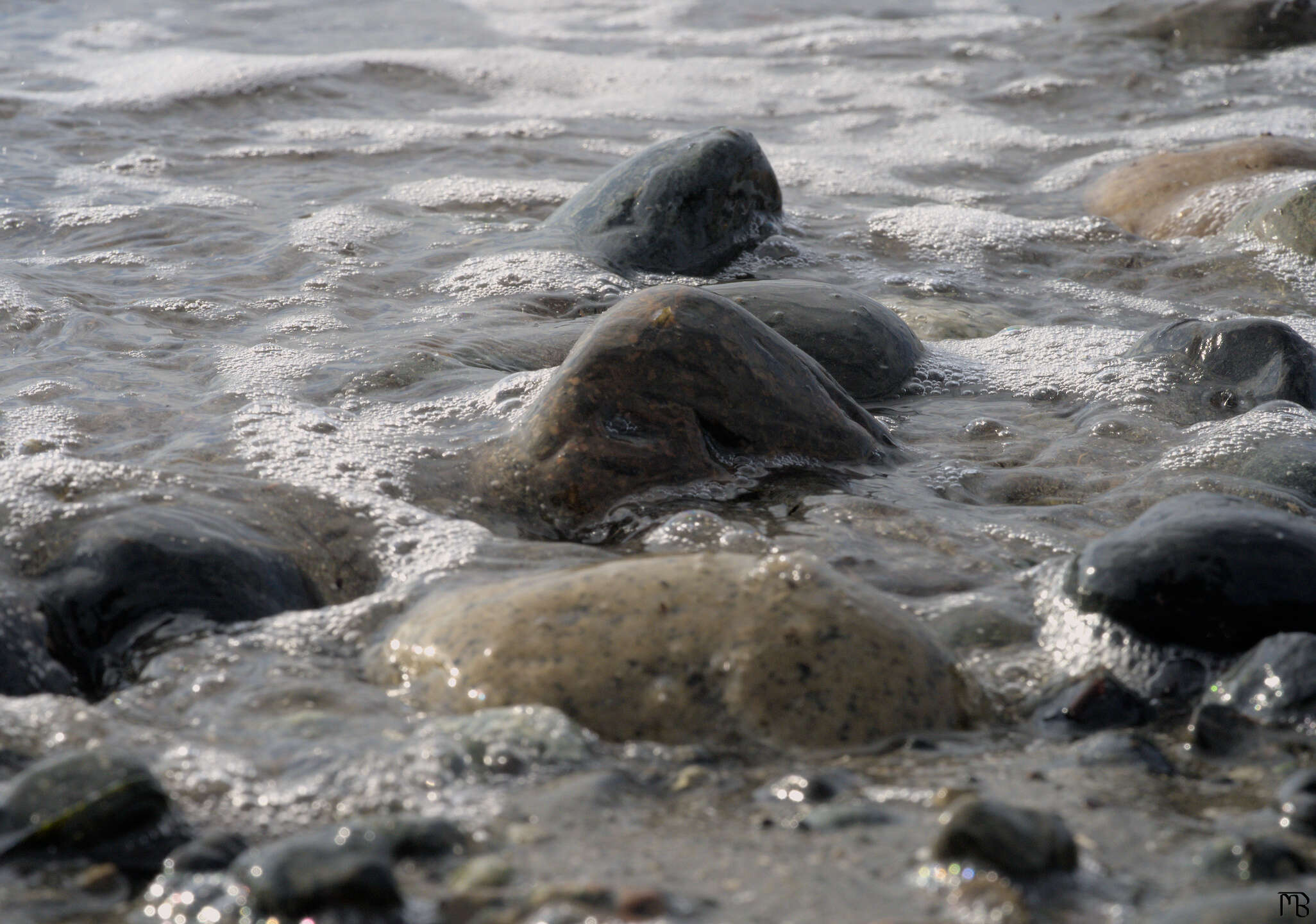 Rocks in the tide