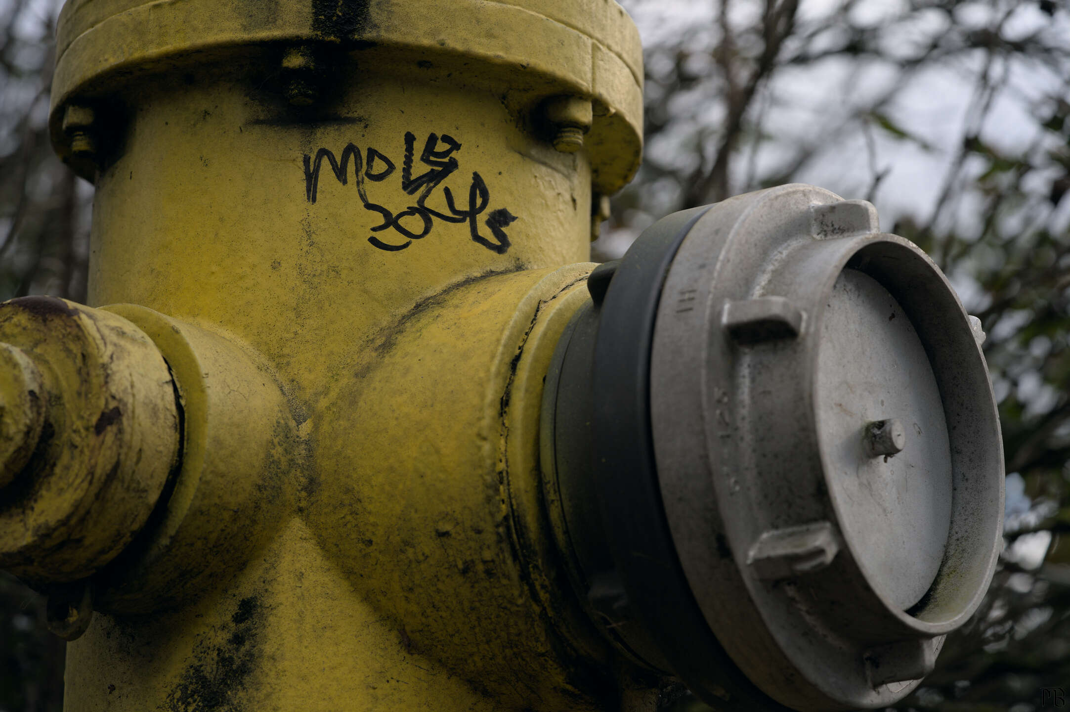 Yellow fire hydrant with graffiti