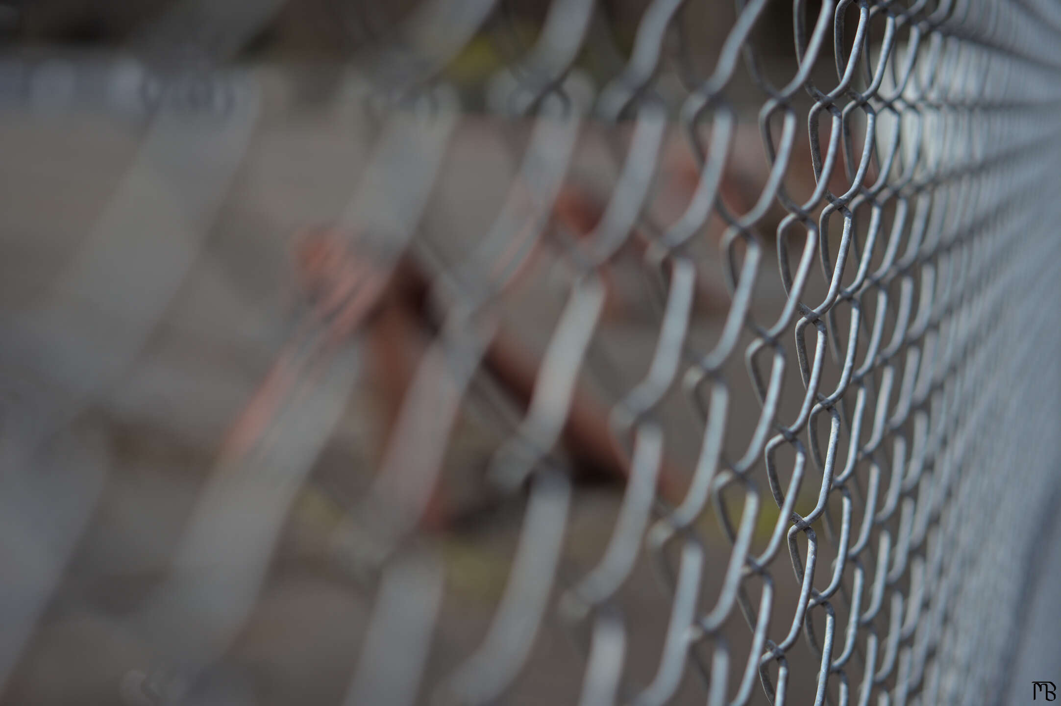 Chain link fence coming into focus