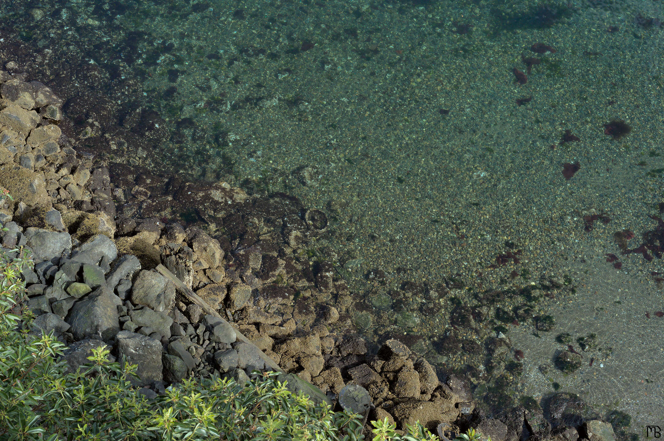 Blue-green water near rocky shore