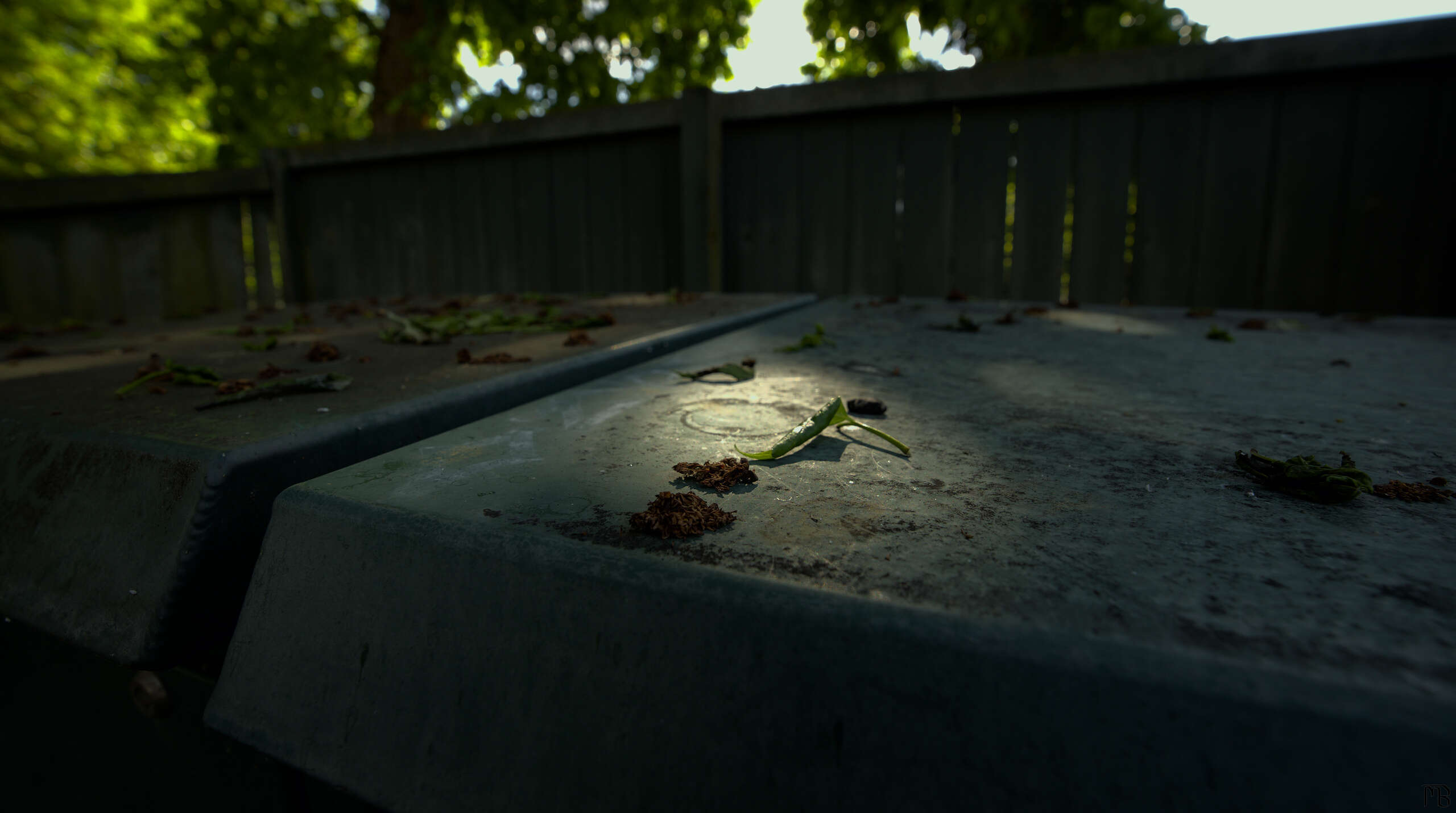 Fallen leaves on plastic utility