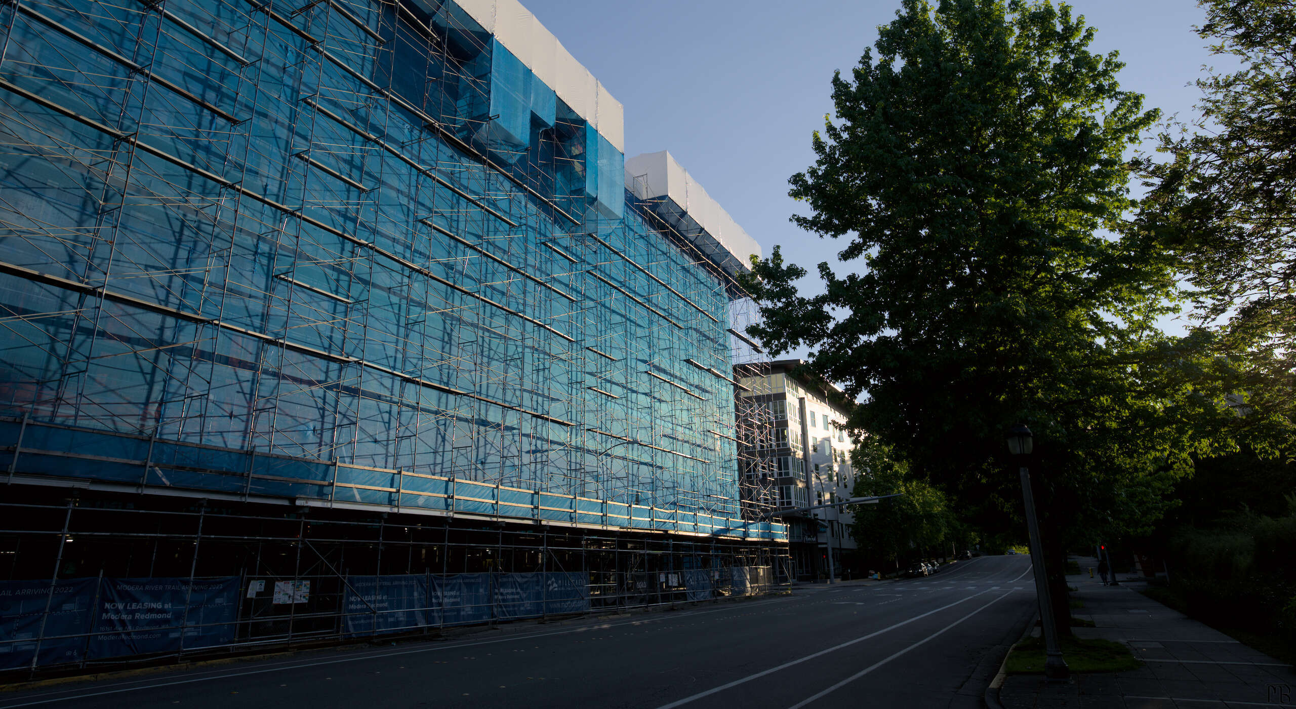 Blue reflection on building near tree