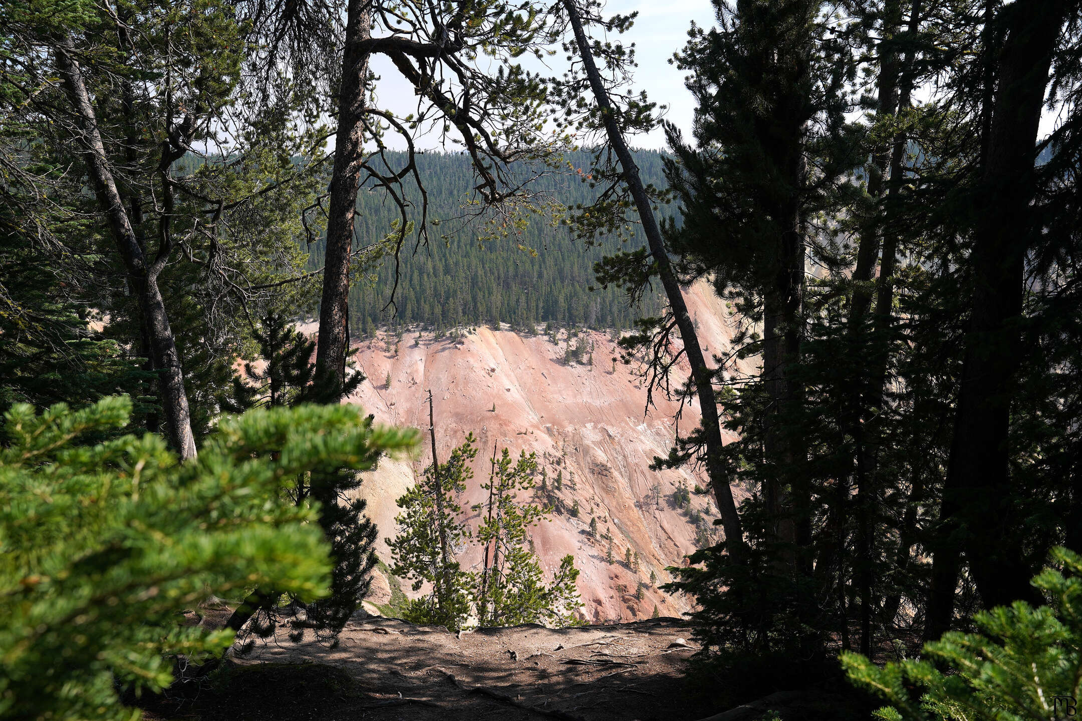 View of canyon in Yellowstone