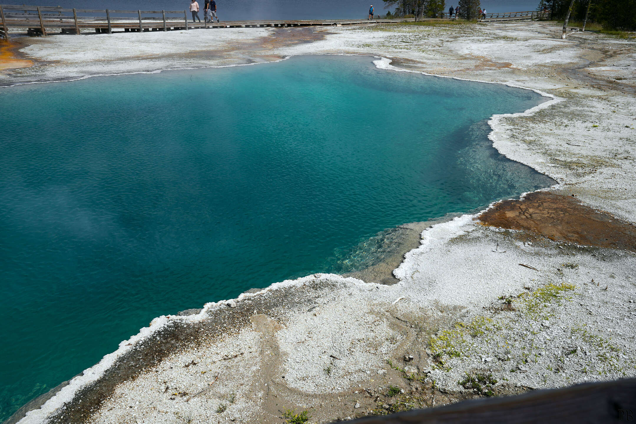 Very vibrant blue hot spring at Yellowstone