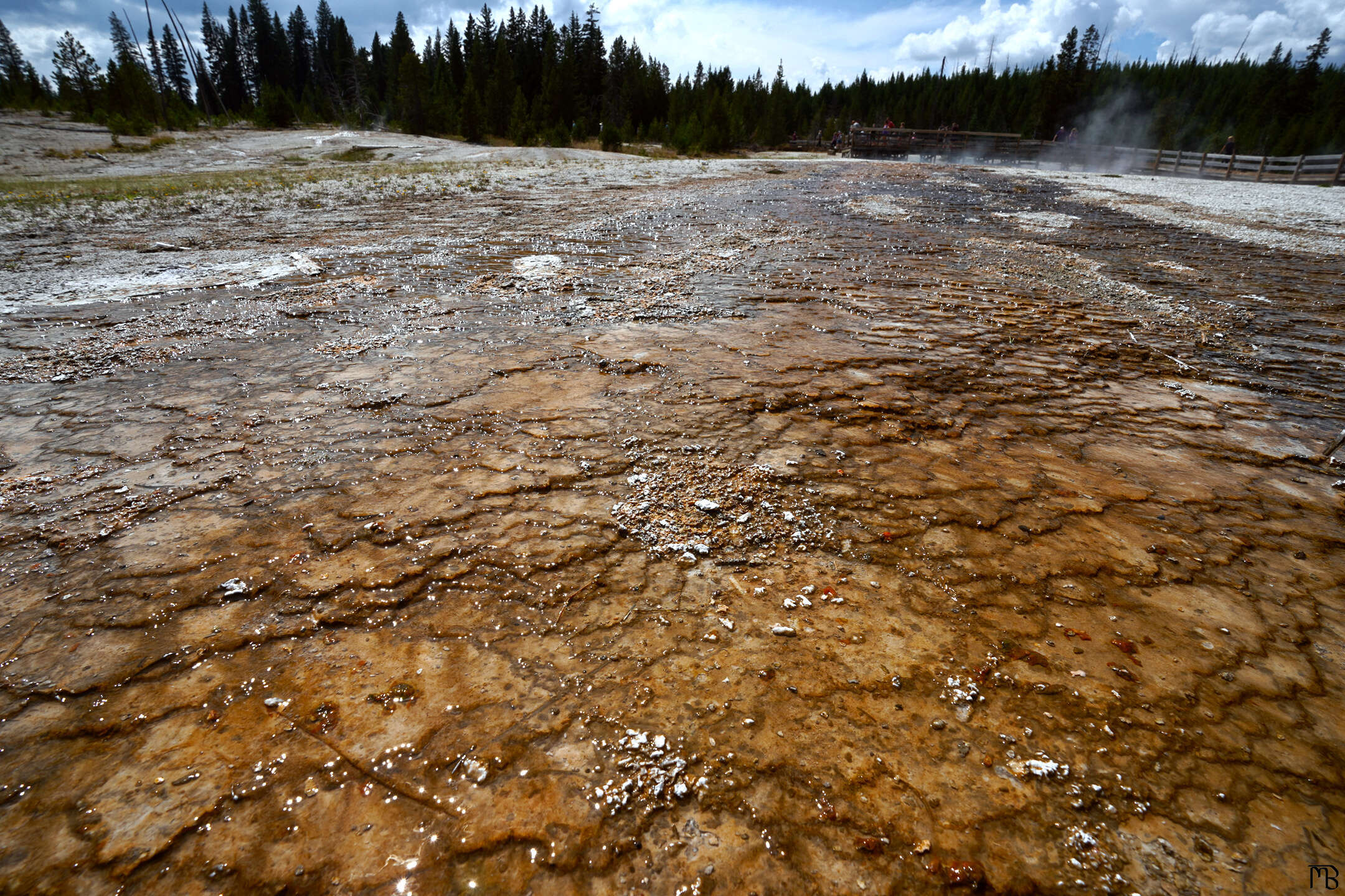 Orange hot spring flow near boardwalk at Yellowstone