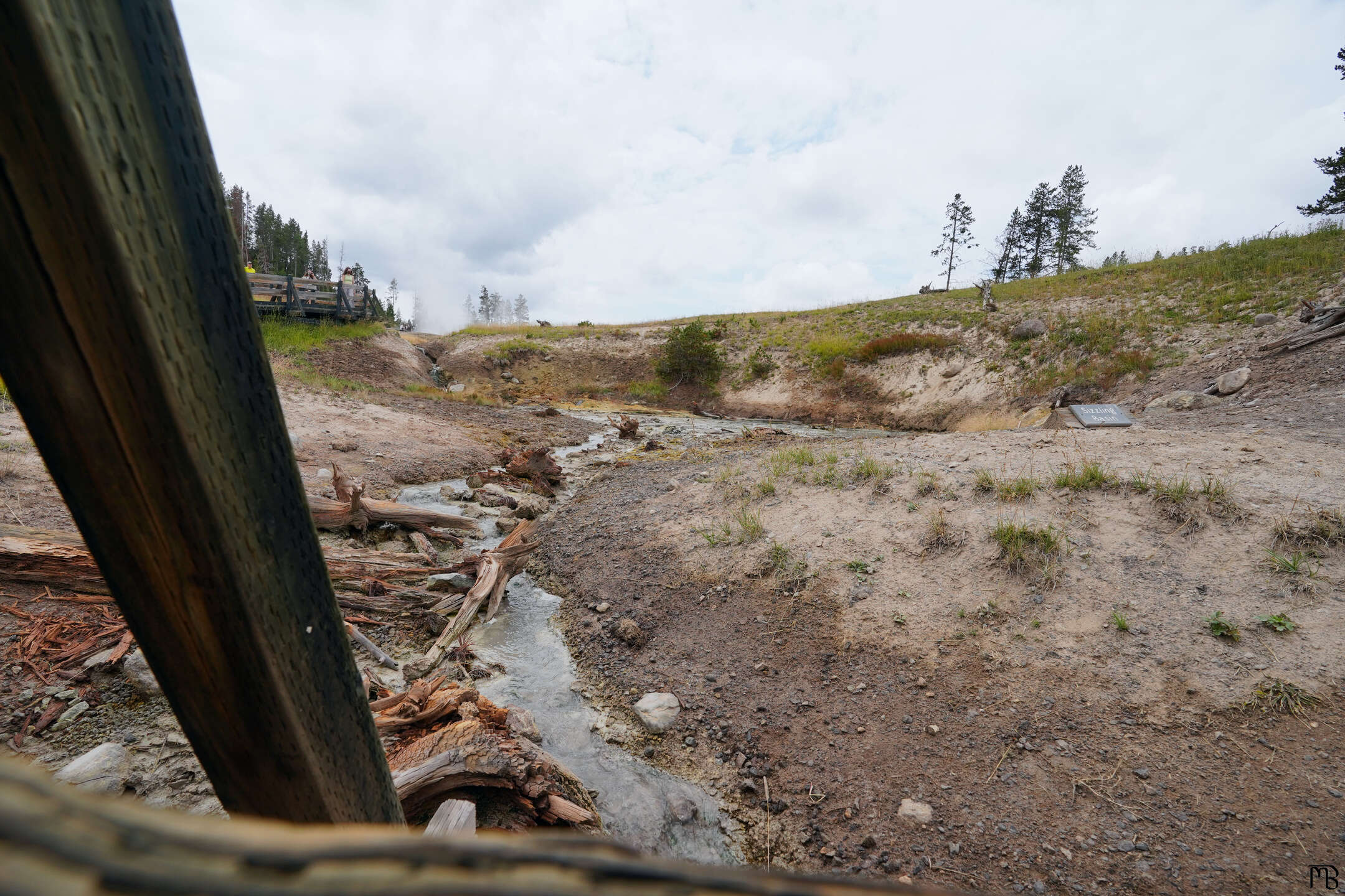 Hot spring run off near boardwalk at Yellowstone