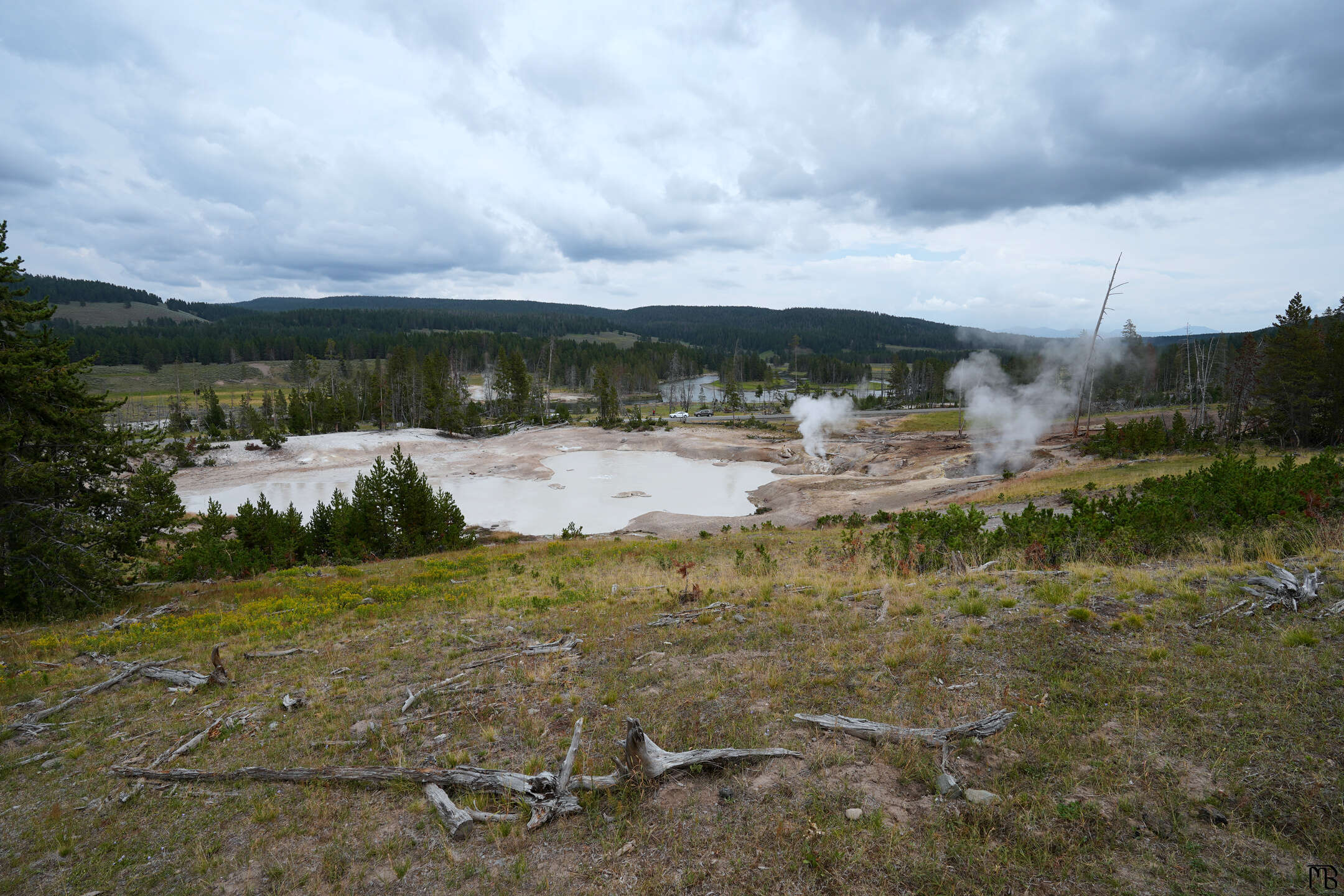 Multiple hot springs and geyser above from forest at Yellowstone