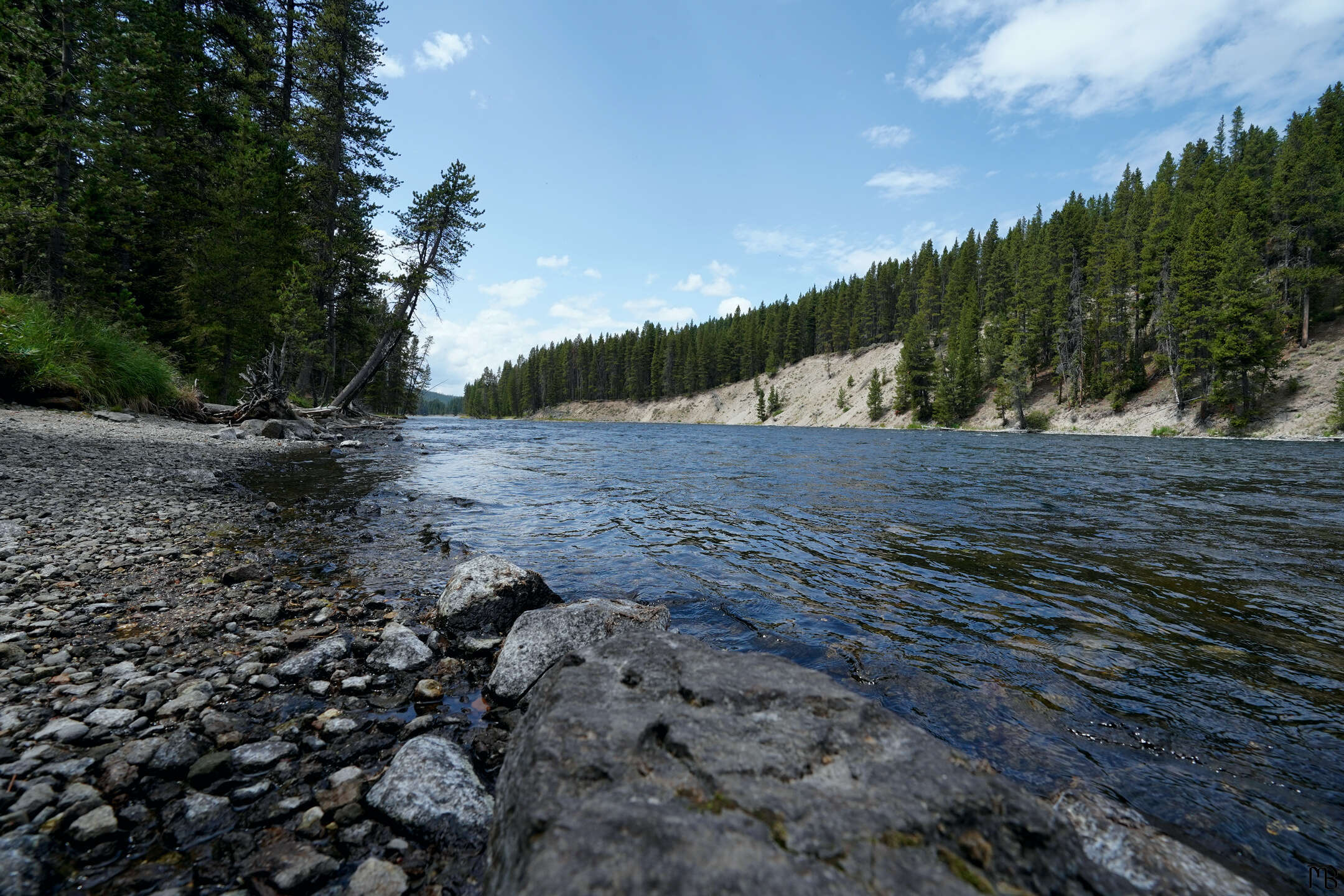 Blue river near forest at Yellowstone